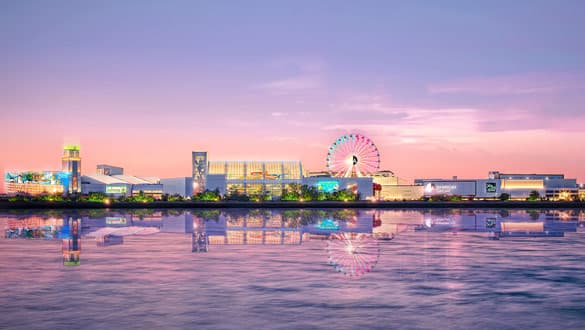 American Dream - Image 3