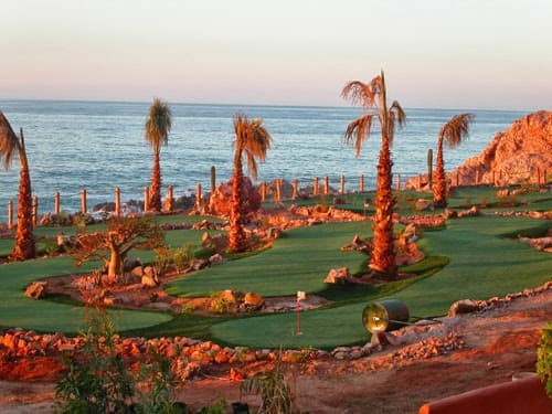 Southwest Greens Ontario - Image 4