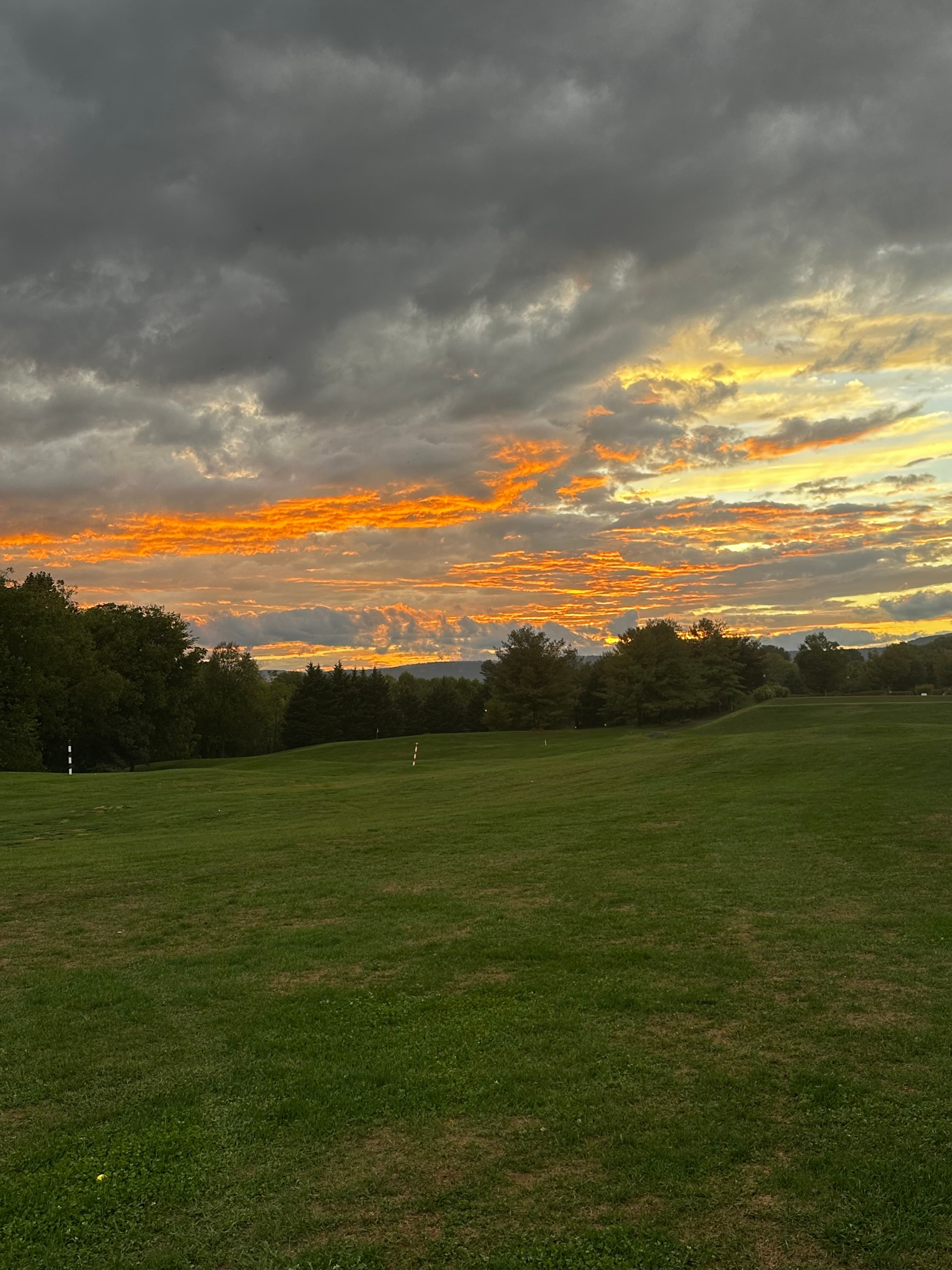 Richland Golf Club - Image 5