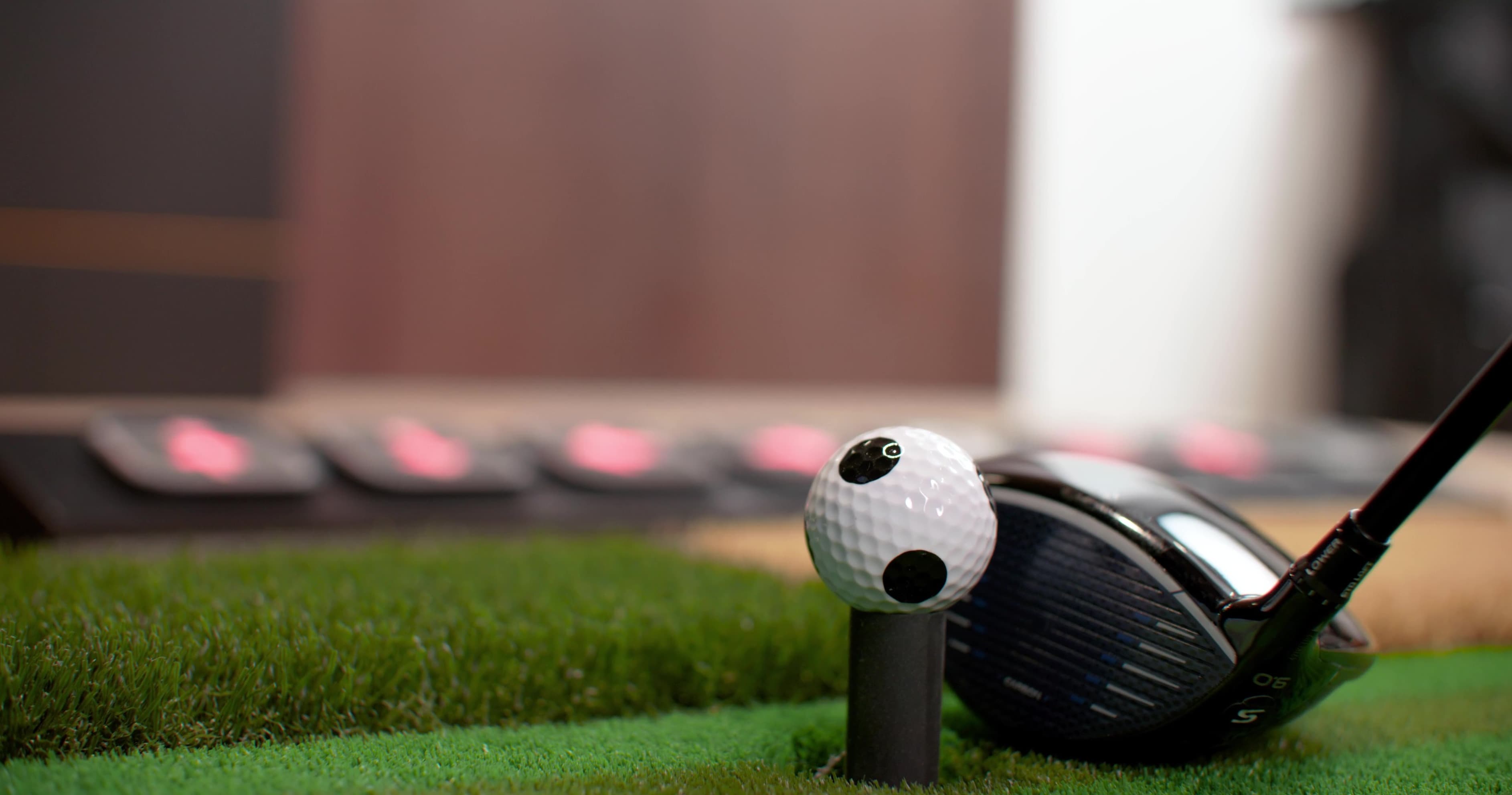 Golf VX Duluth - Image 9