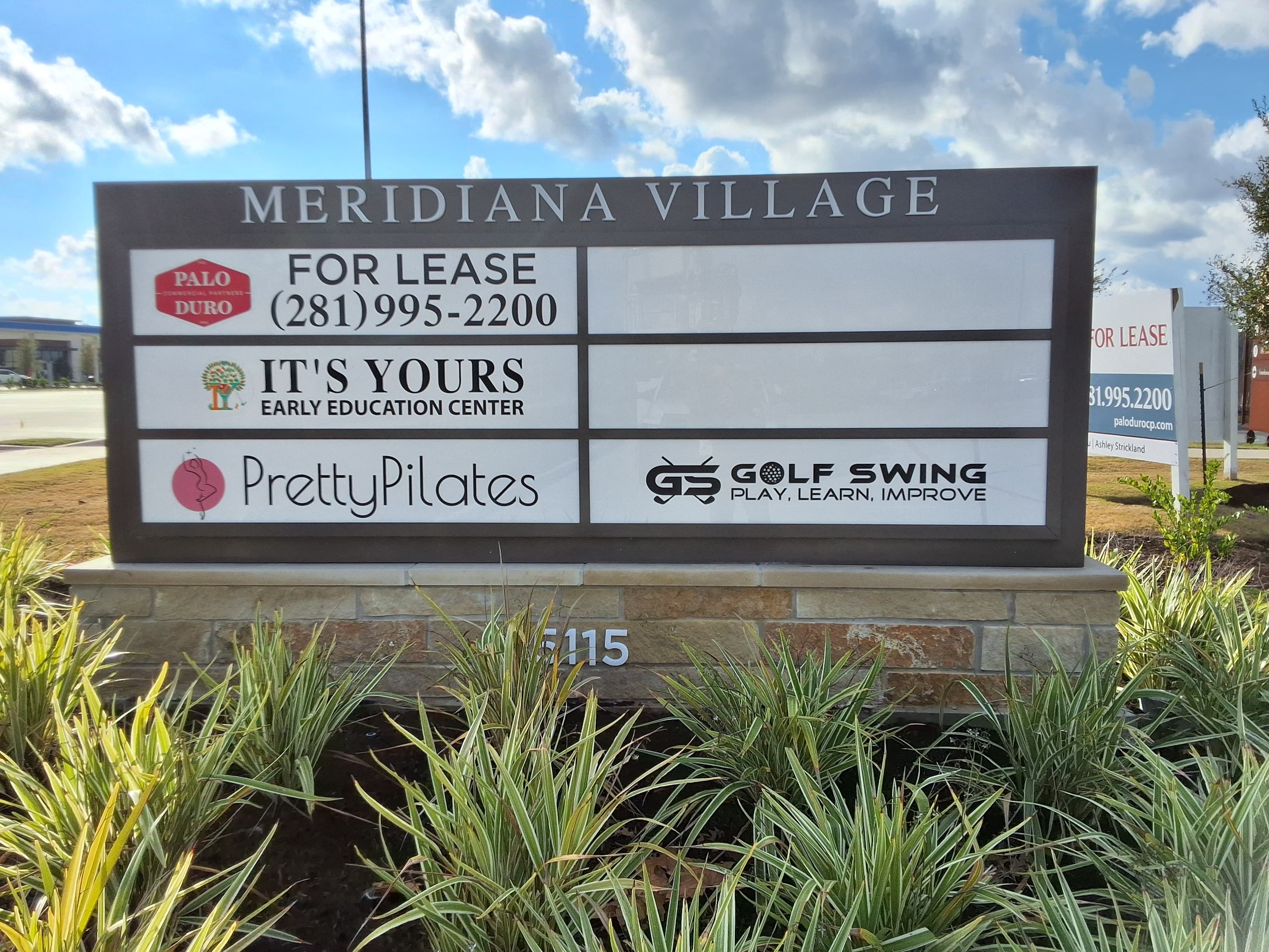 Meridiana Golf Swing: Play, Learn, Improve (TM) - Image 1