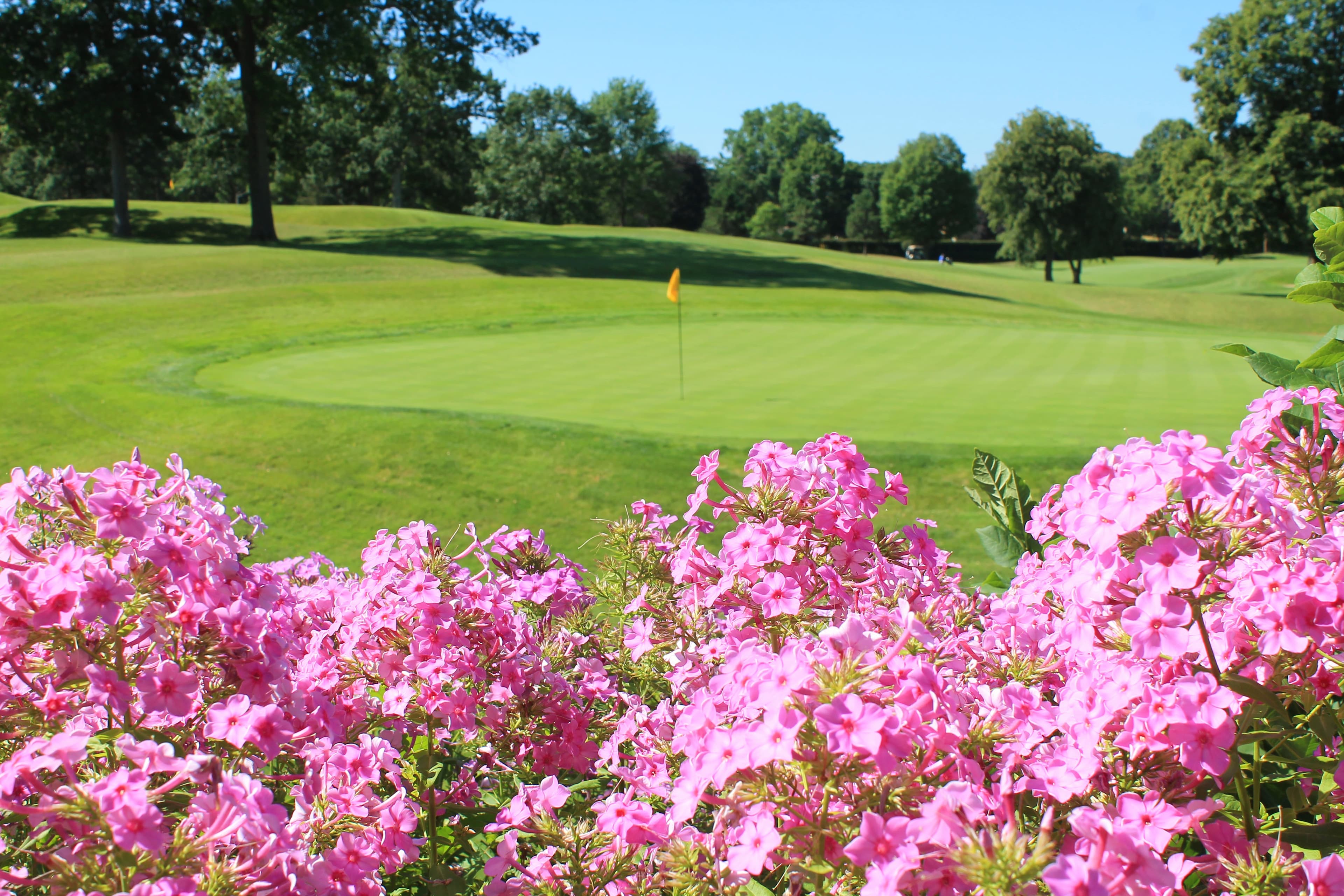 The Club at Golden Valley - Image 2