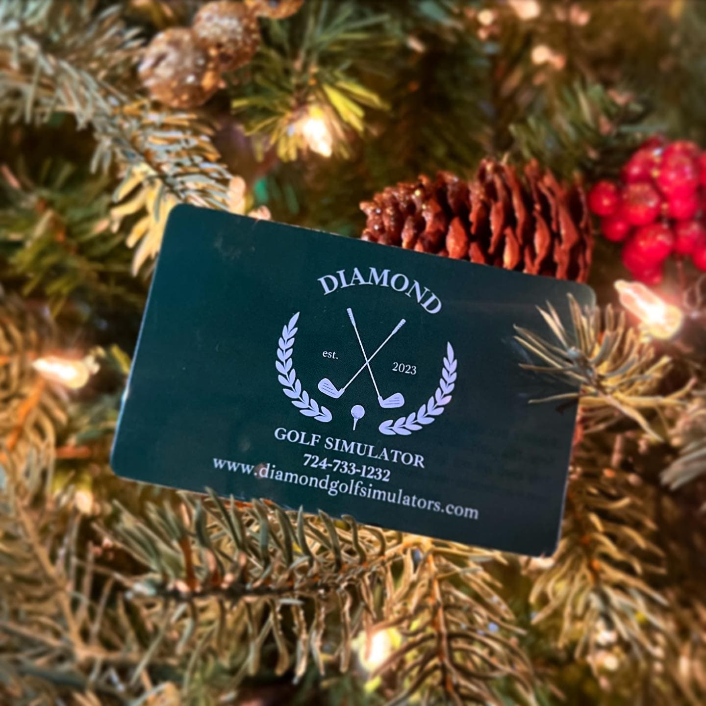 Diamond Golf Simulator - Image 7