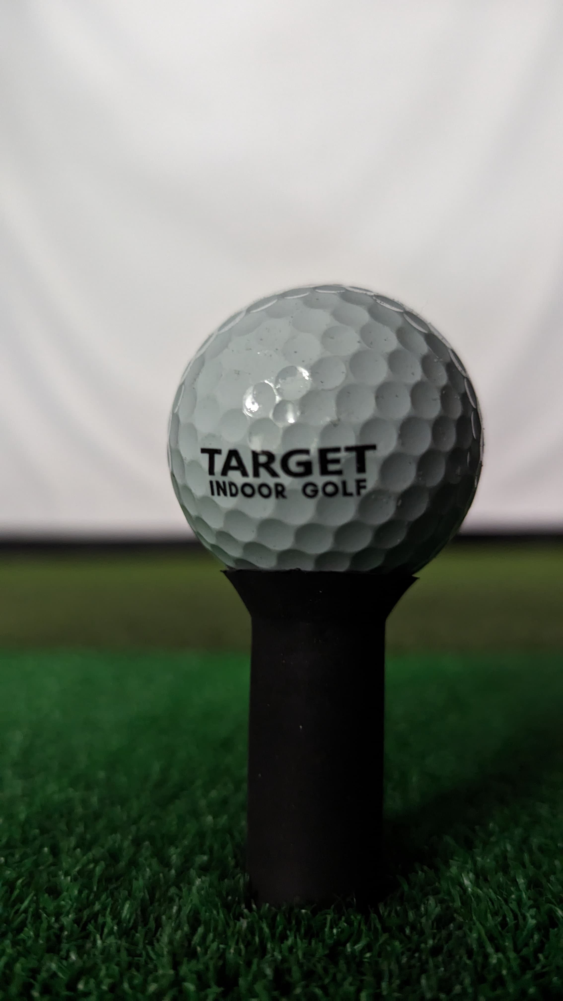 TARGET Indoor Golf - Image 9