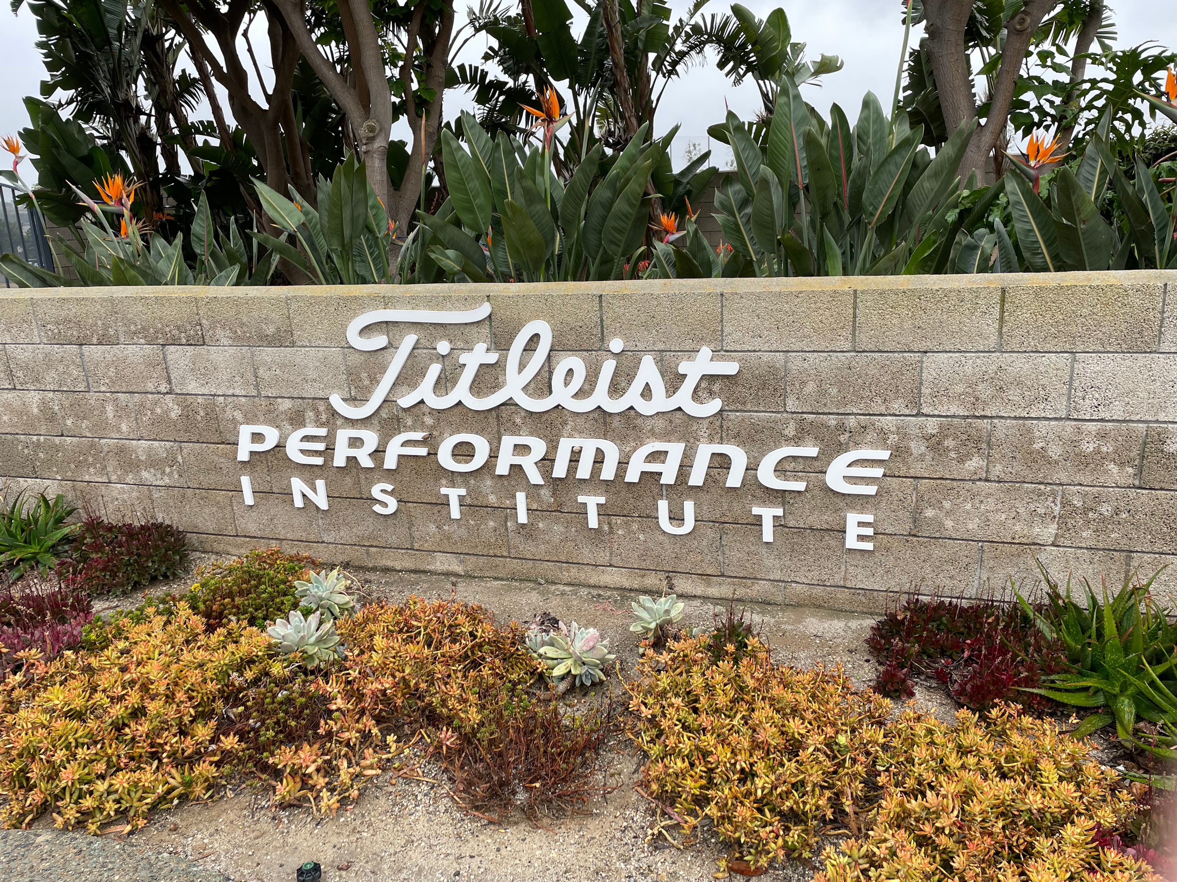 Golf Fitness Solutions - Image 7