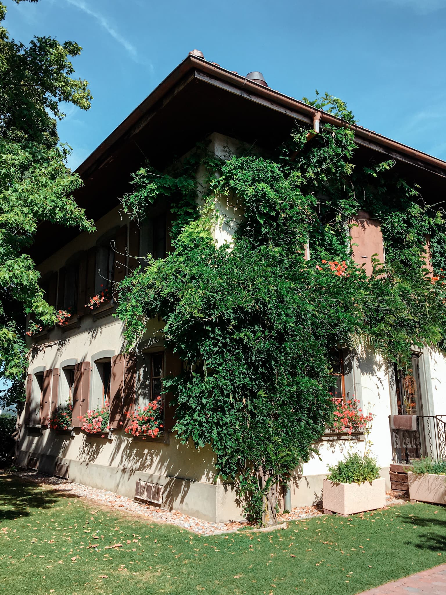 CrossGolfTraining - Image 3