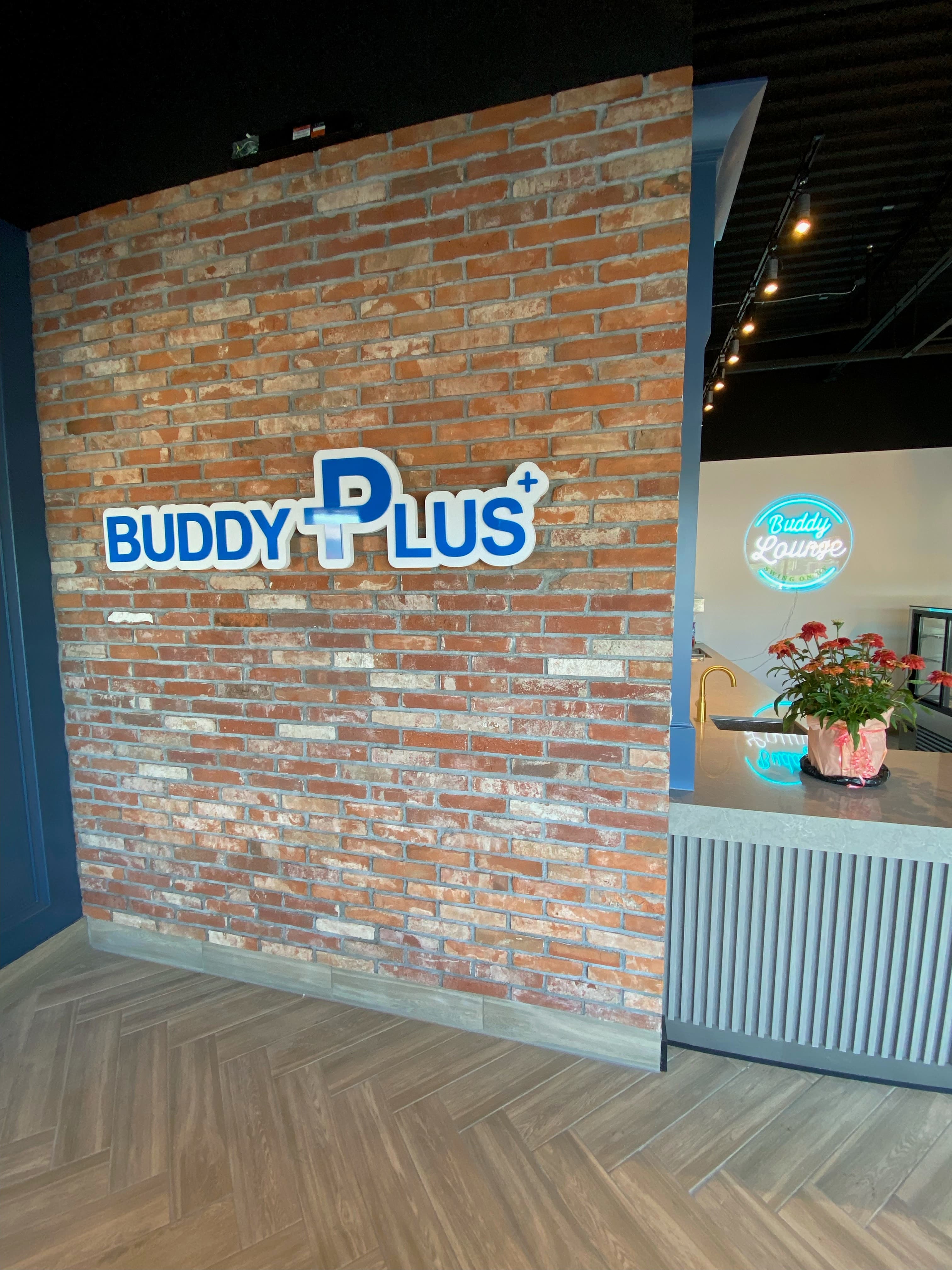 Buddy Plus - Indoor Golf Club - Image 9