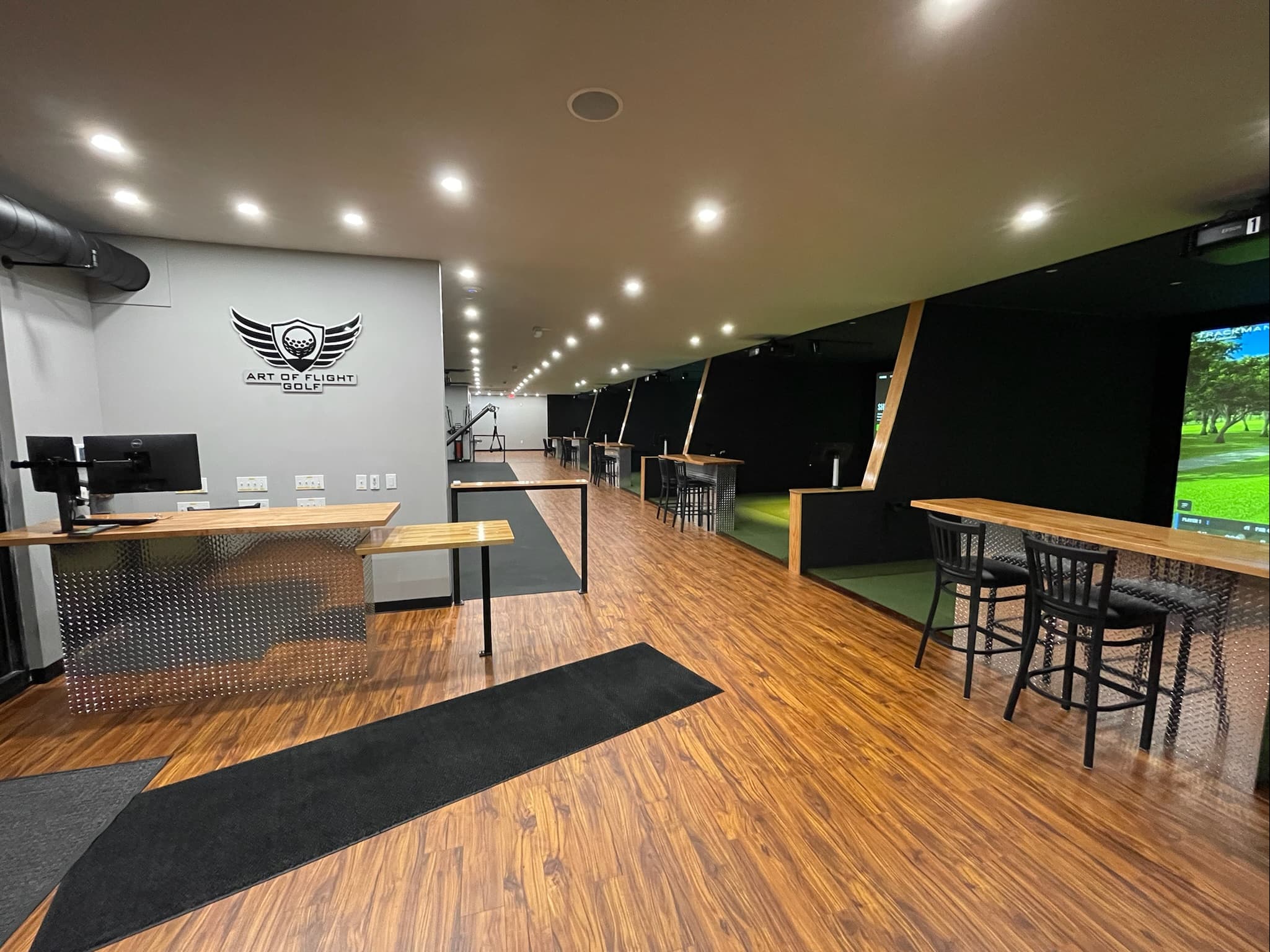 Art of Flight Golf - Image 3