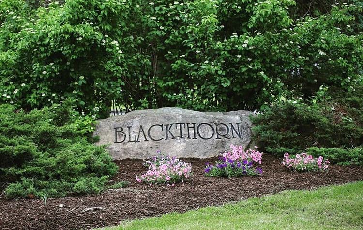 Blackthorn Golf Academy - Image 5