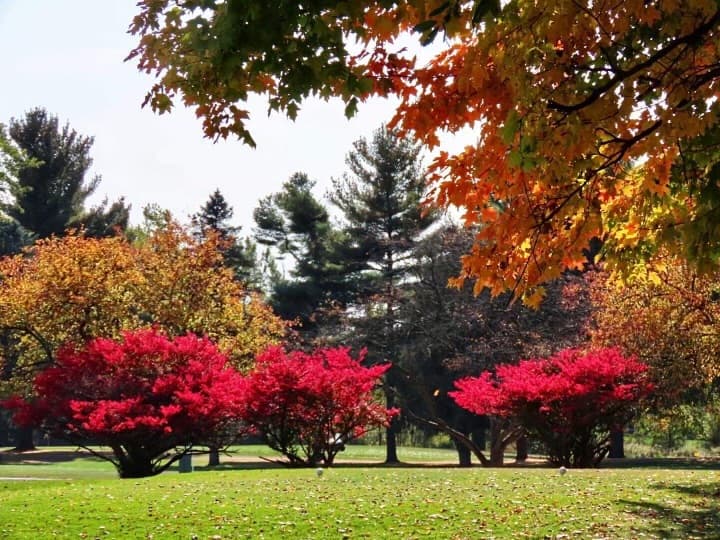 Maple Brook Golf Course - Image 3