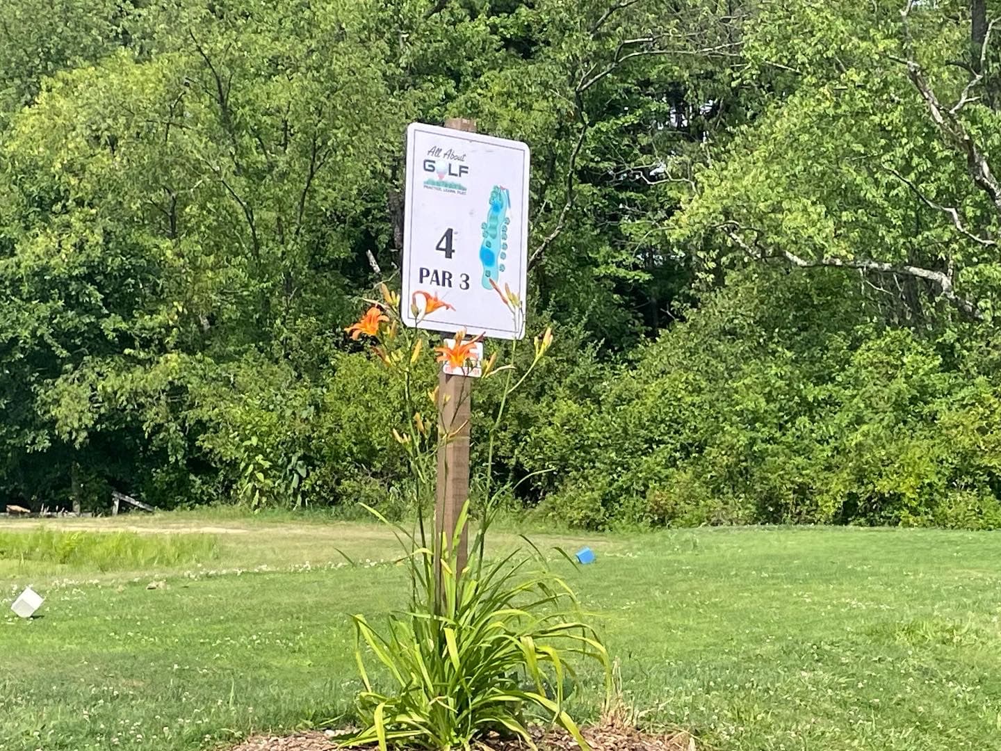 All About Golf - Image 5