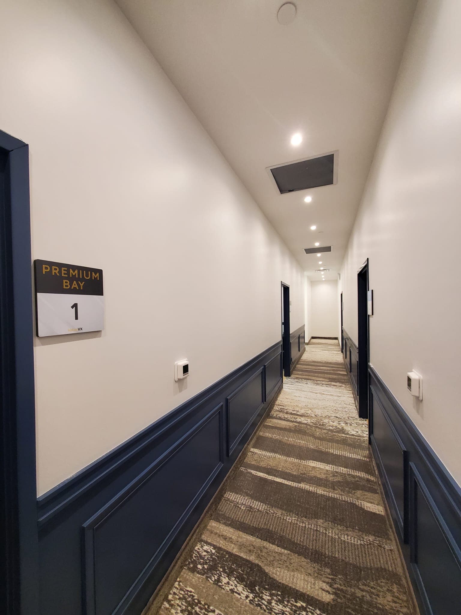 Buddy Plus - Indoor Golf Club - Image 6