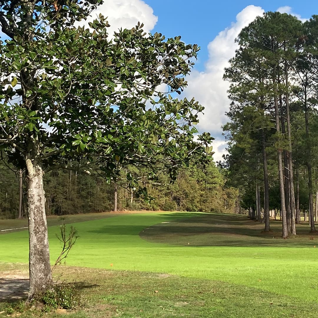 Blackwater Golf Club - Image 3