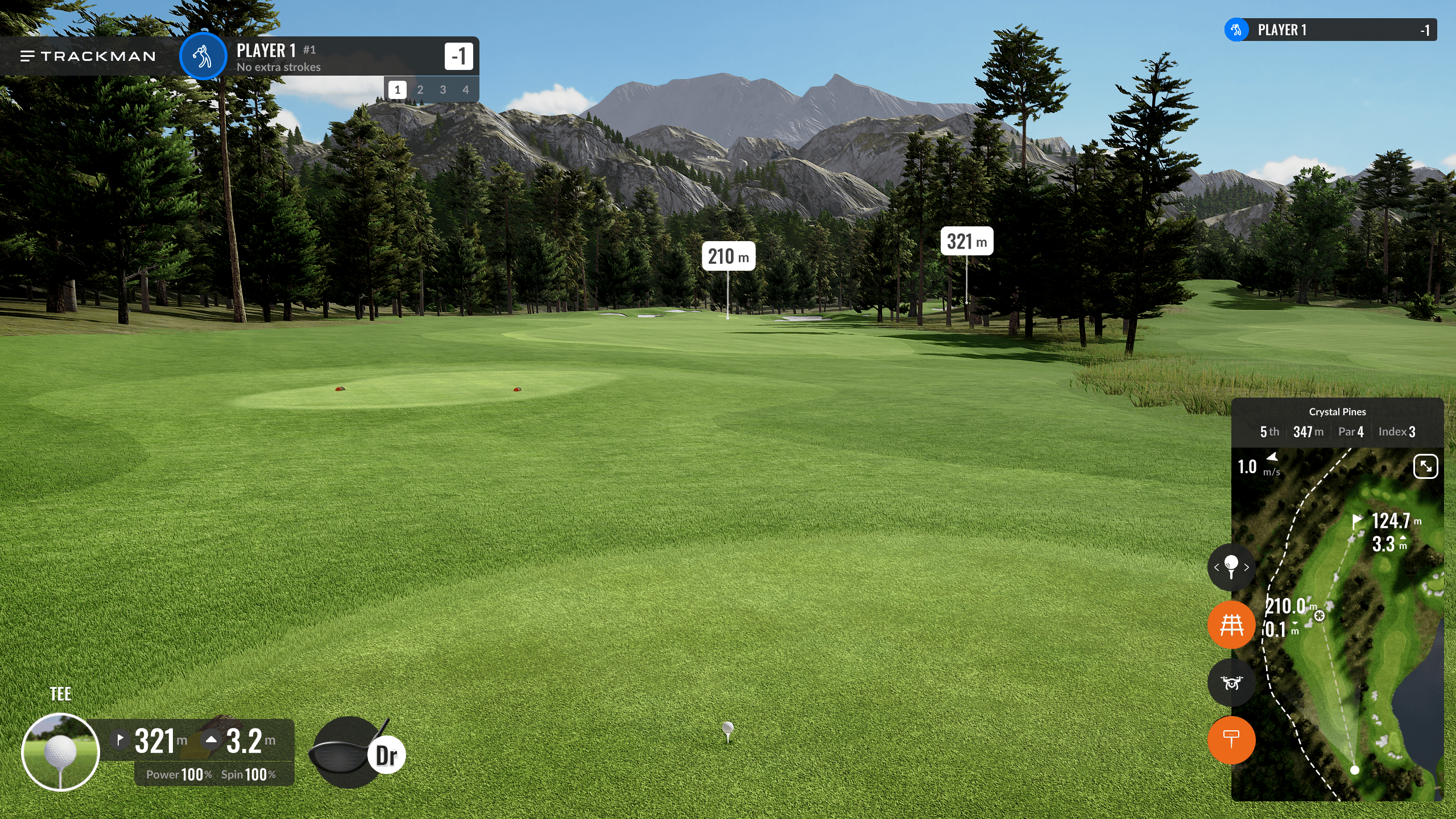 Iron & Wood Golf - Image 8