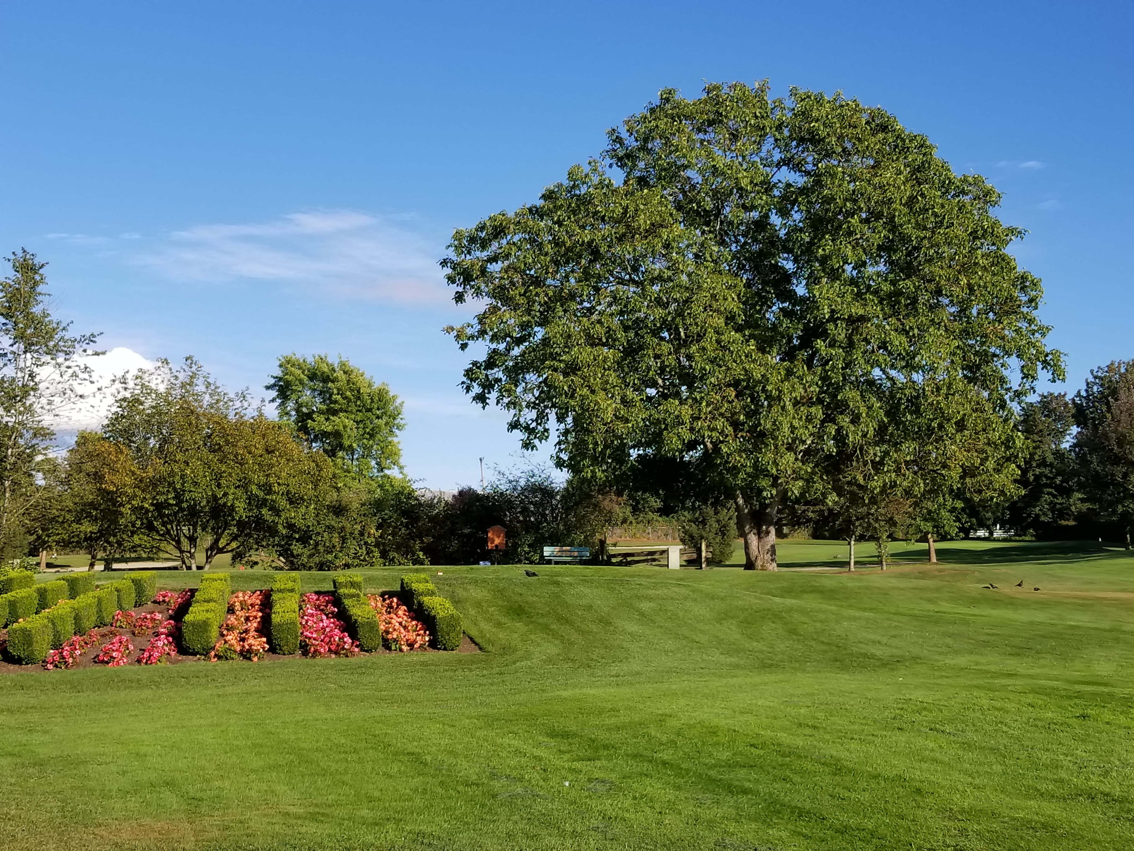 Poppy Estate Golf Course - Image 4