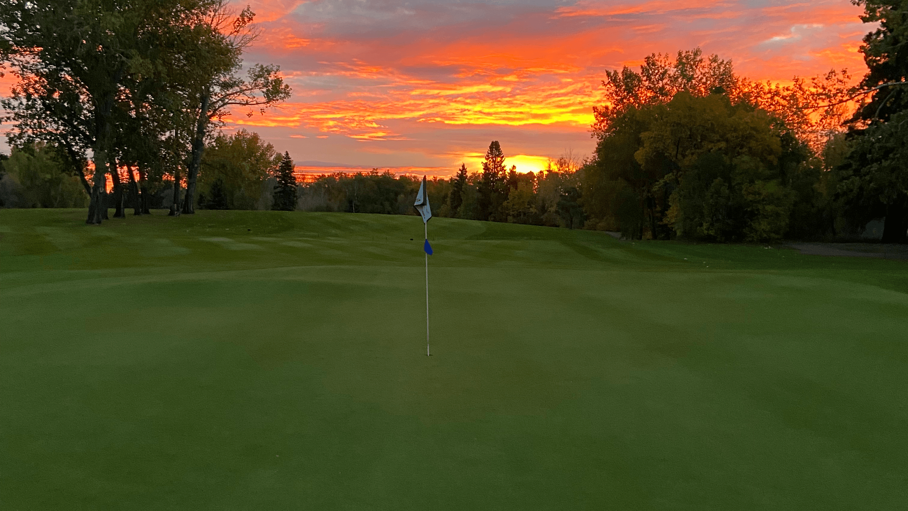 Darcy's Golf Shop Ltd. - Image 7