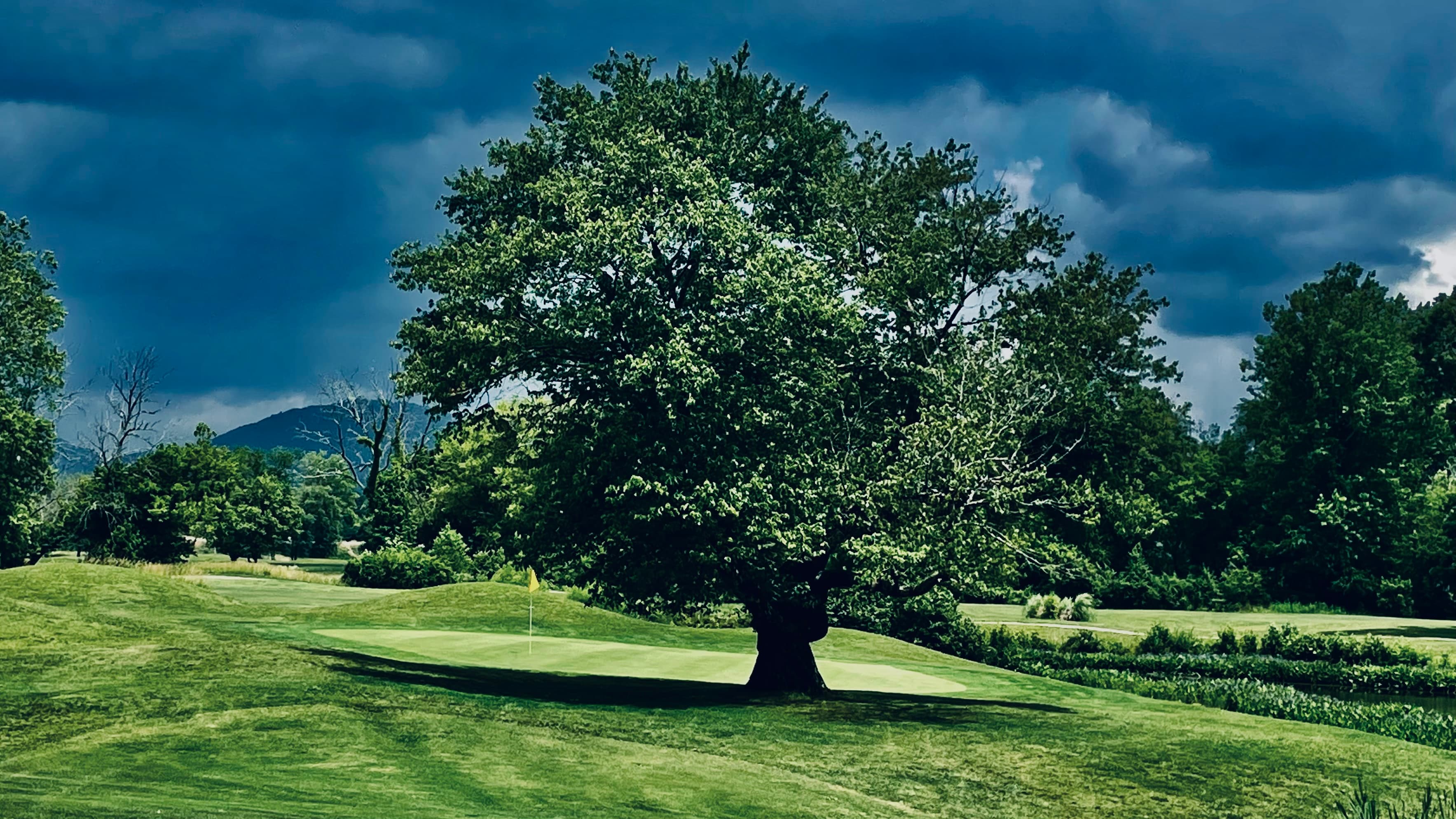 Broadmoor Links - Image 2