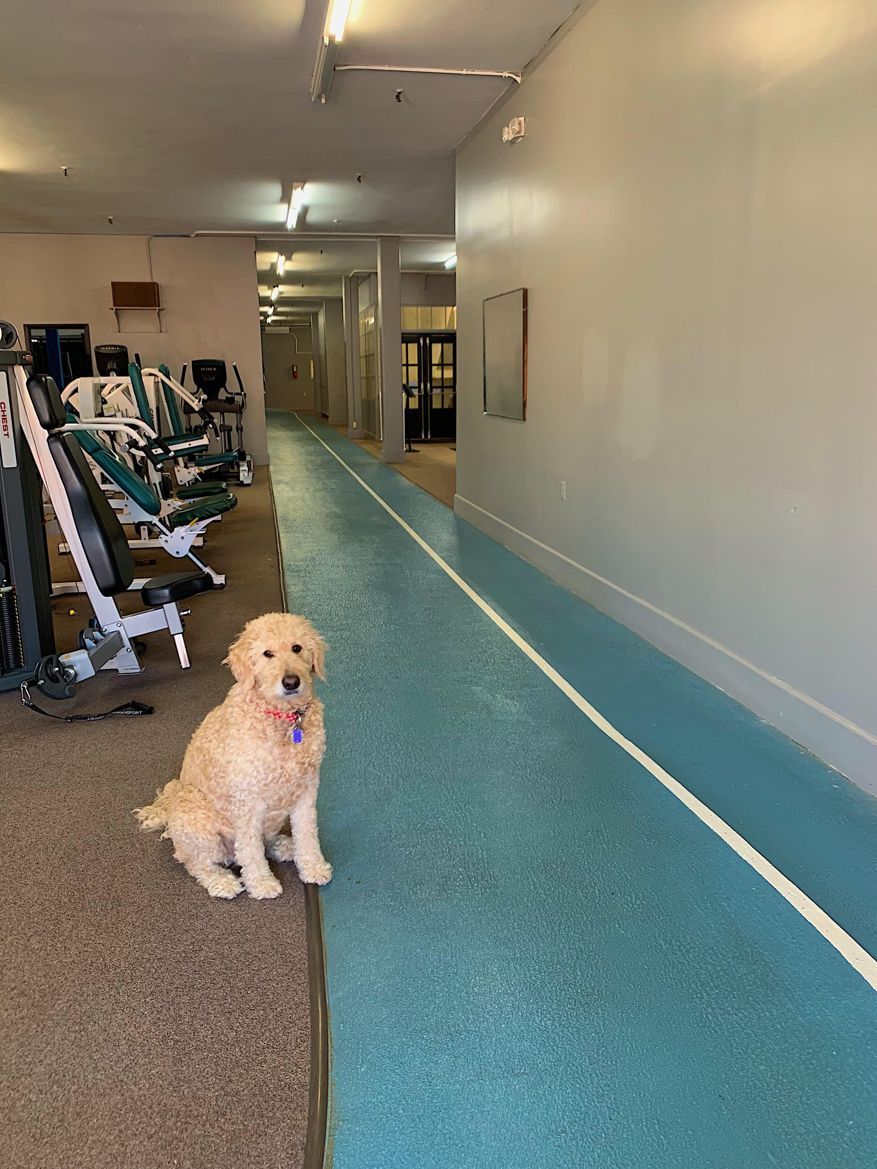 Keystone Strength - Image 8