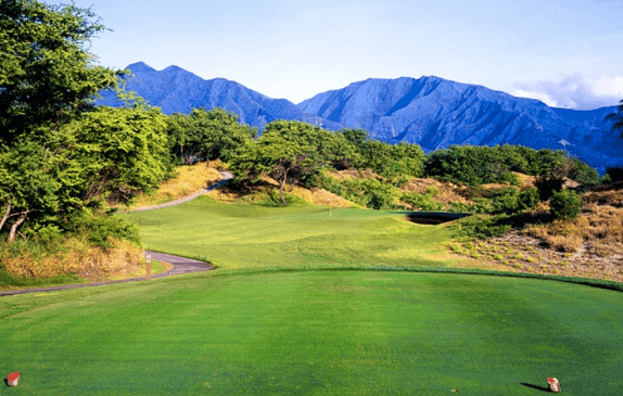 Hawaii Golf Schools - Image 1