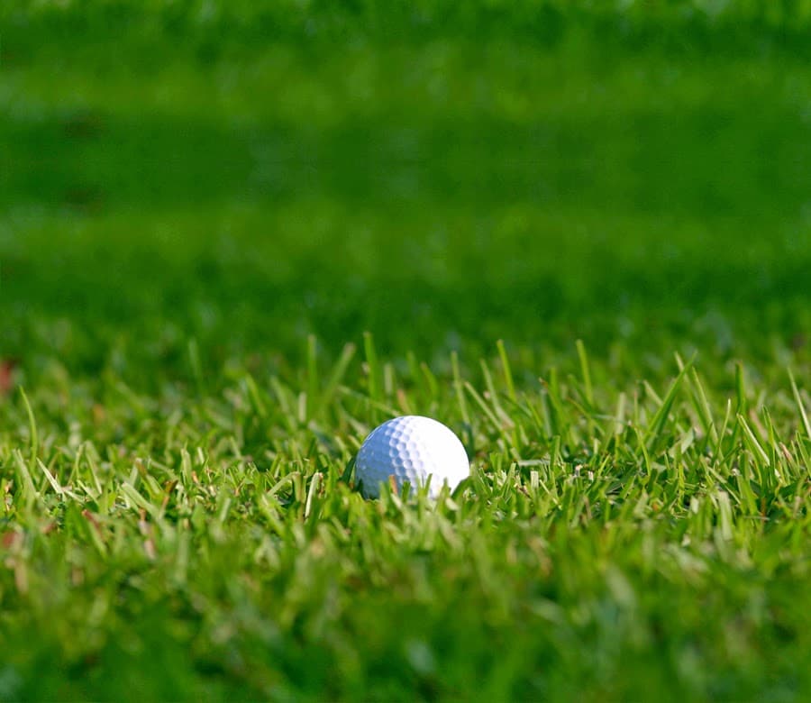 Willowbrook Golf Center - Image 1