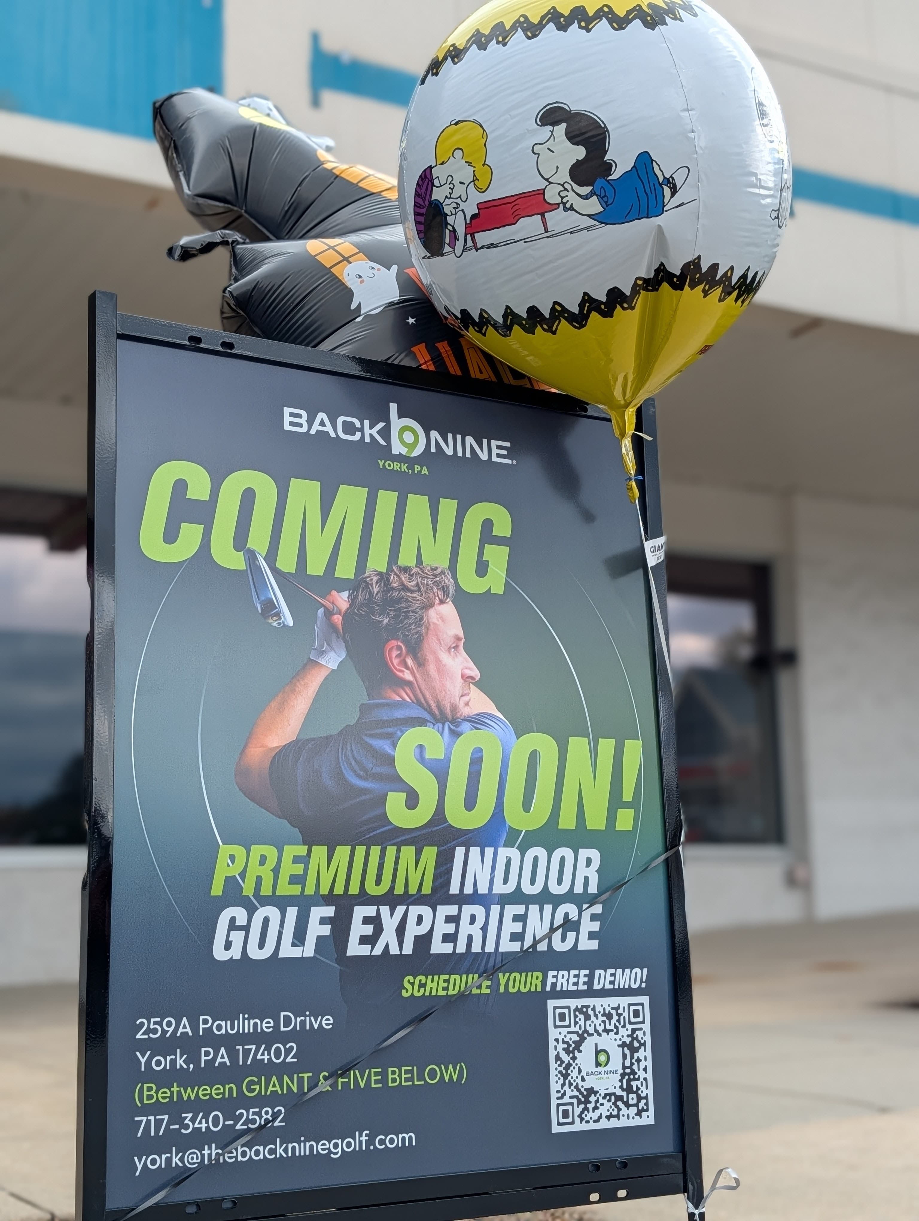 The Back Nine Golf | York, PA - Image 2