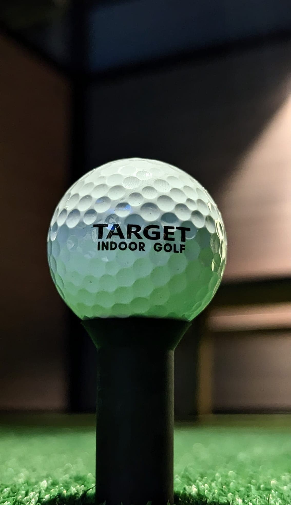 TARGET INDOOR GOLF - BELLEVILLE - Image 6