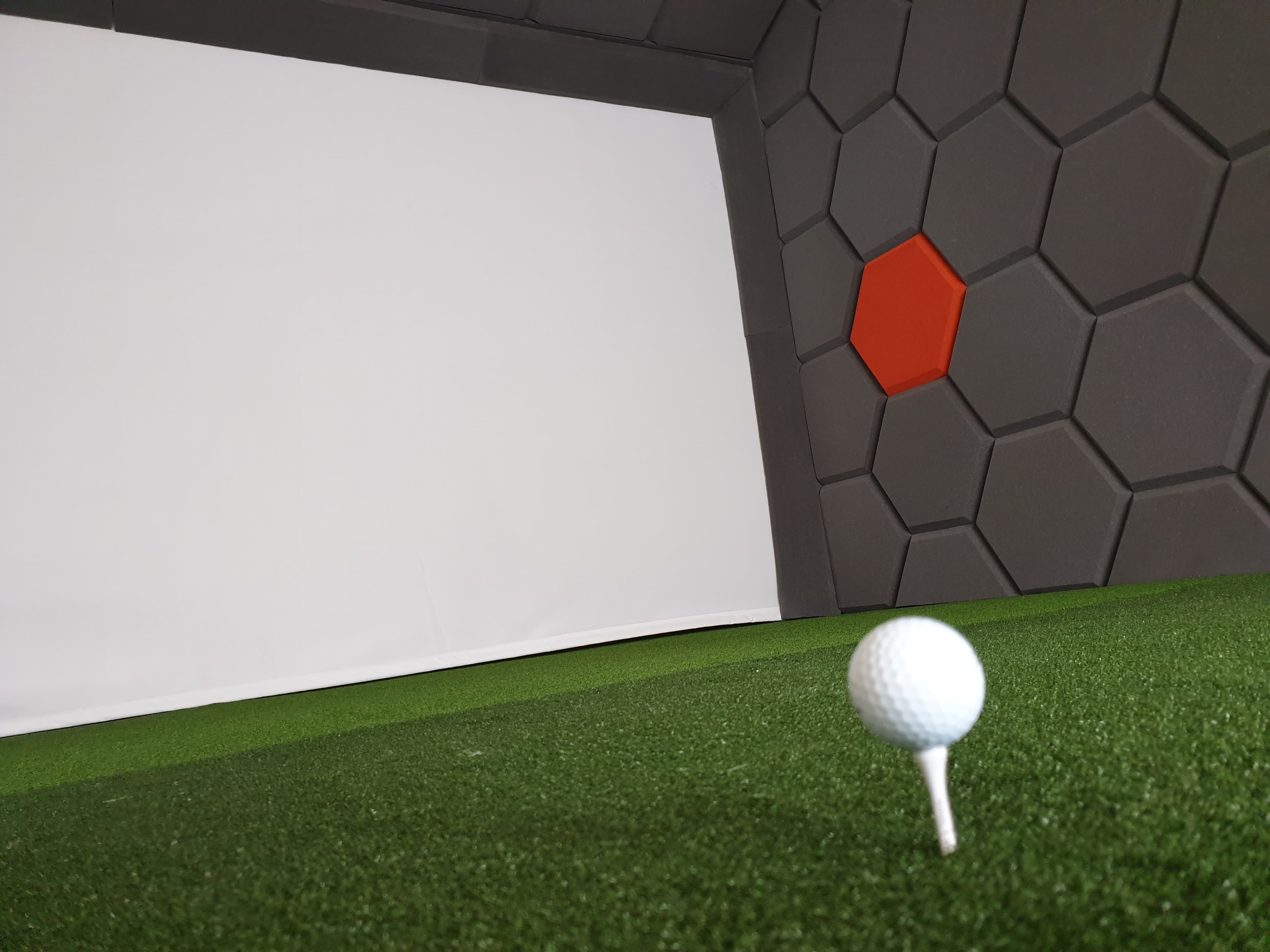Next Level Golf - Image 1