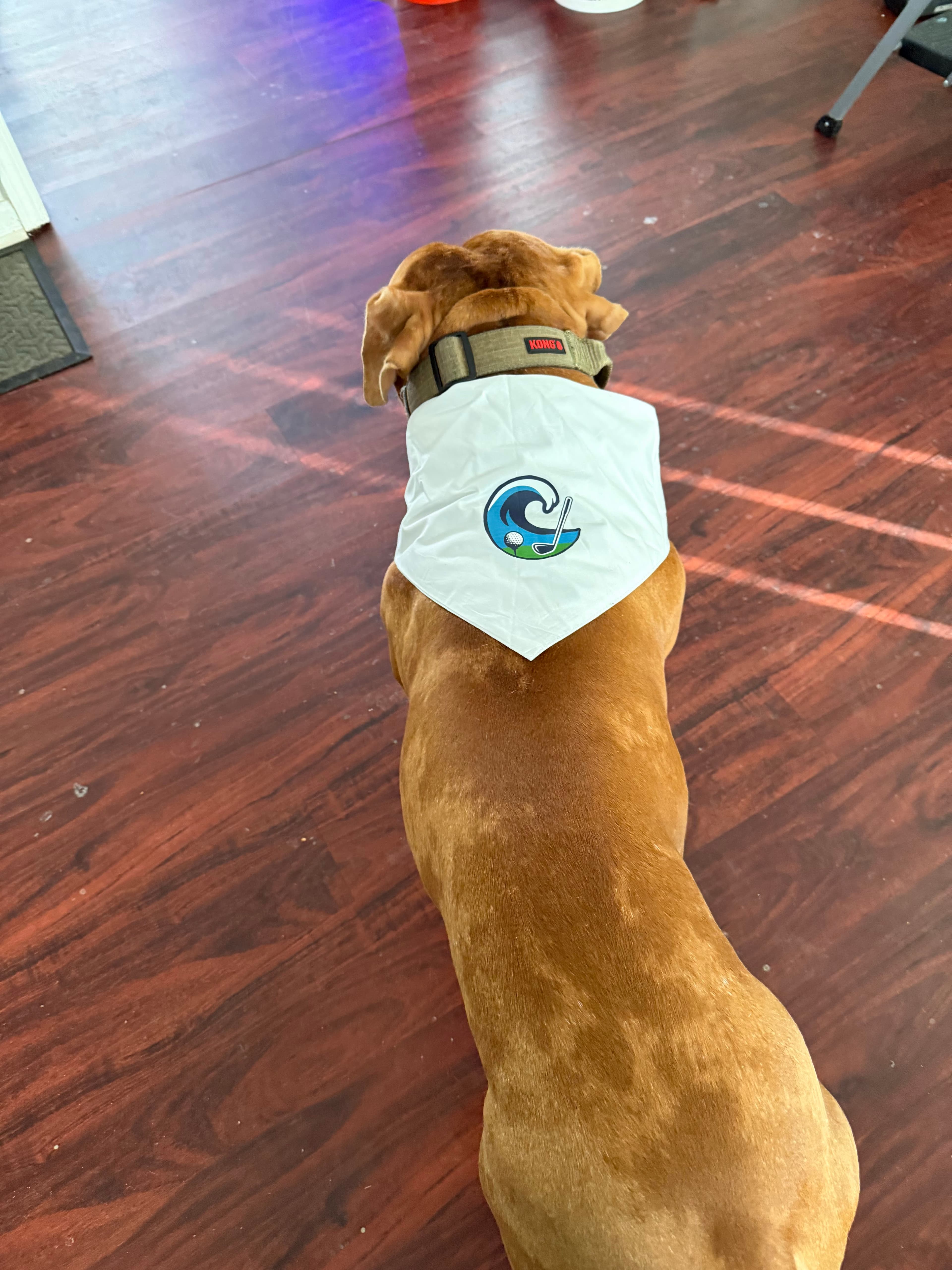 Bayshore Golf Club - Endless Mulligans