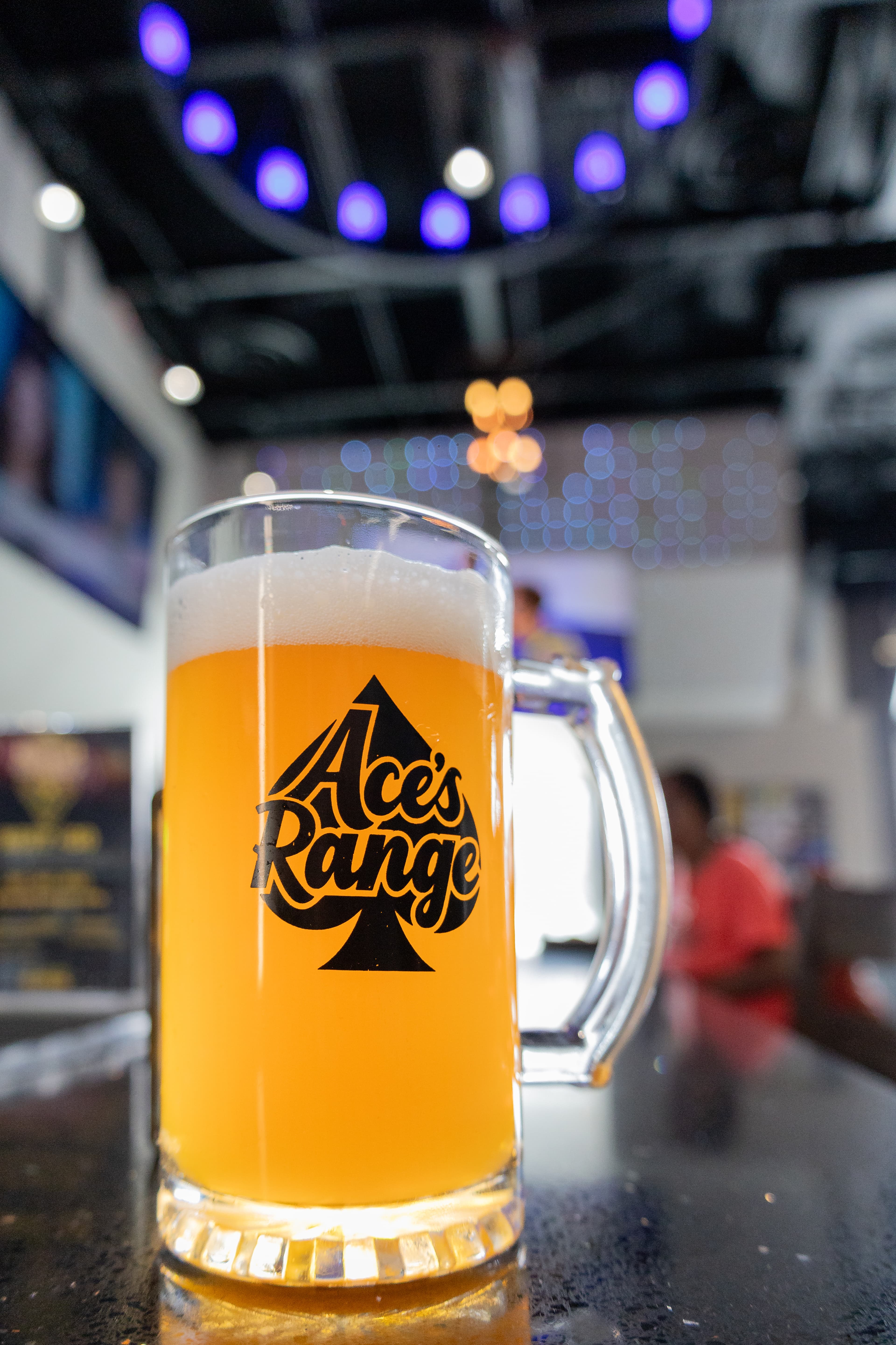 Ace's Range - Image 10