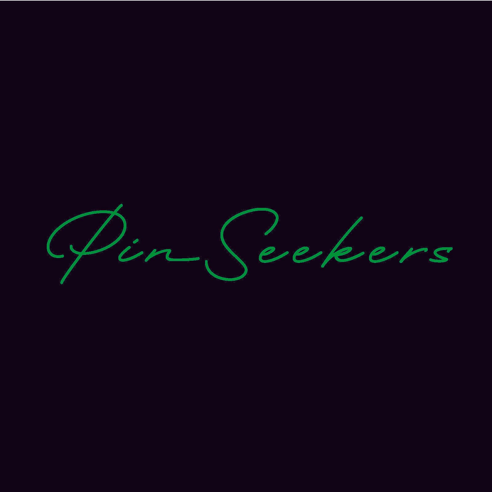 PinSeekers, LLC - Image 3