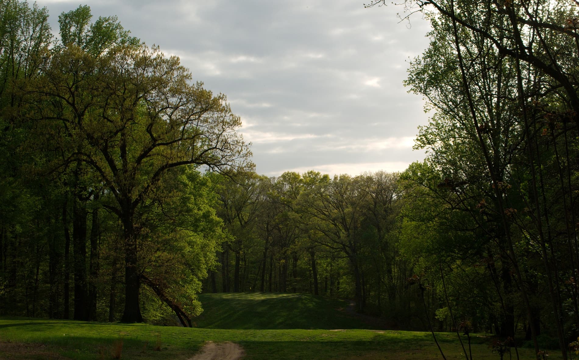 playDCgolf - Image 10