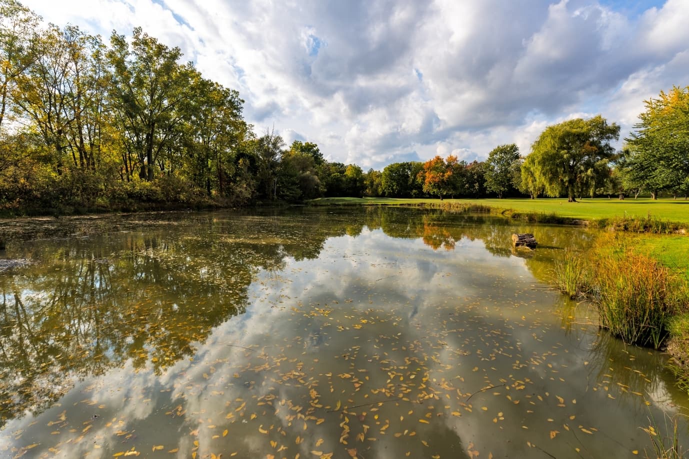 Kingswell Glen Golf Club - Image 8