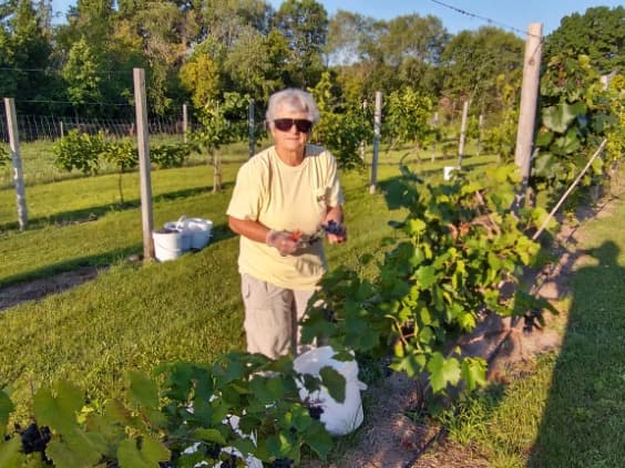 Cannahaven - Image 10