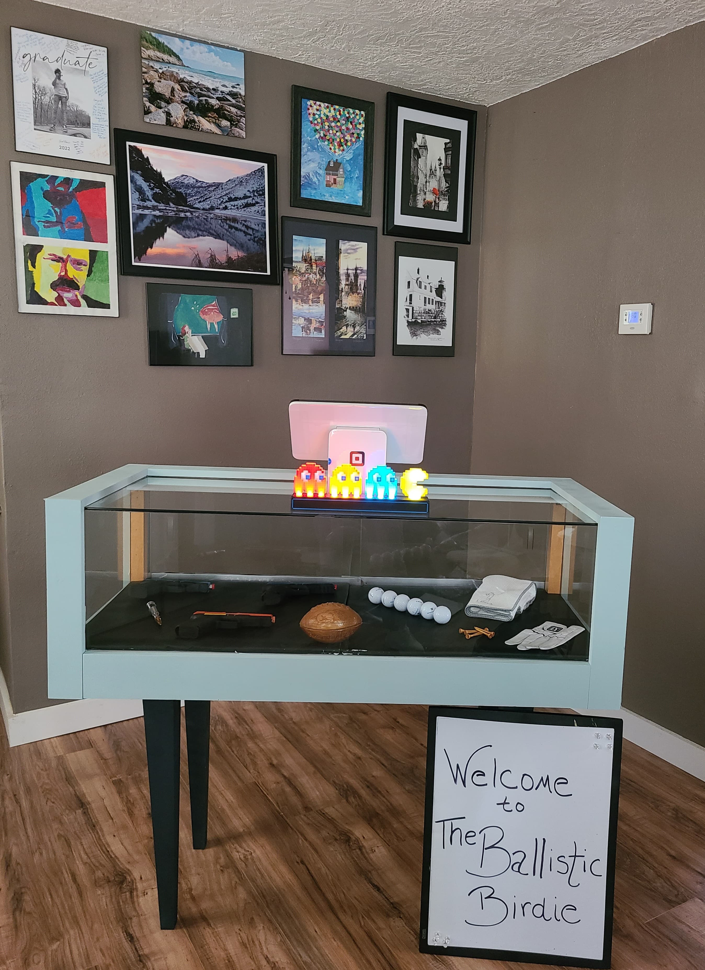 THE BALLISTIC BIRDIE - Image 7