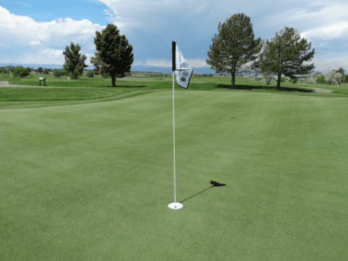 Best Golf Lessons Houston - Image 7