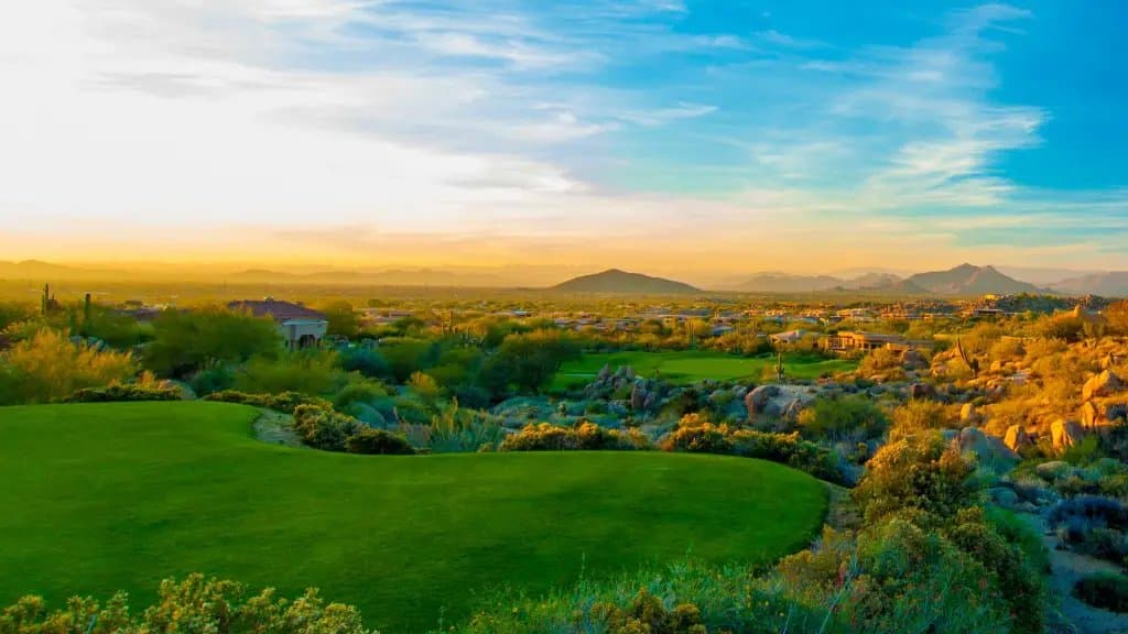 Fore Real 24 - Image 6