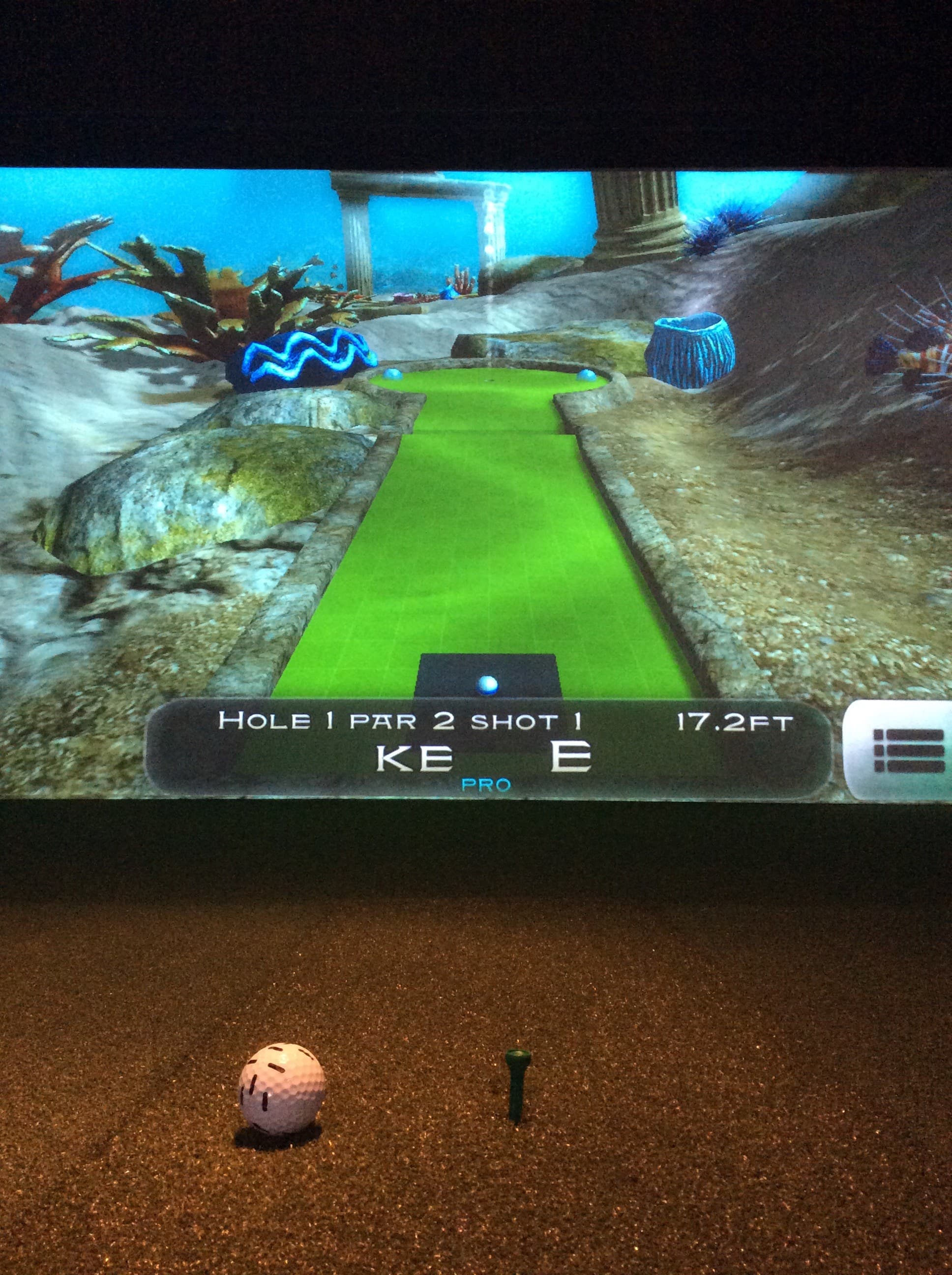 Tee Performance Indoor Golf - Image 8