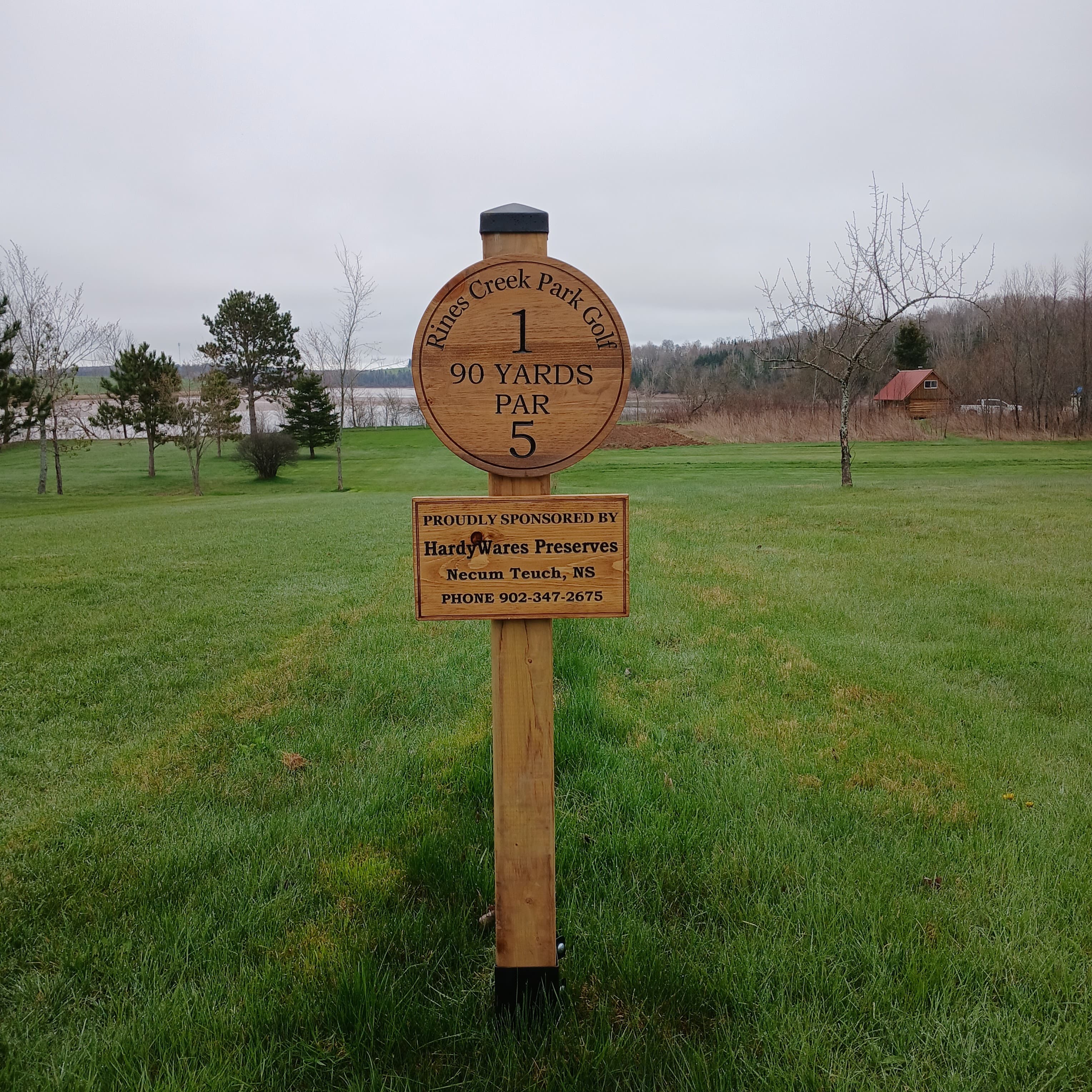 Rines Creek Park Golf - Image 5