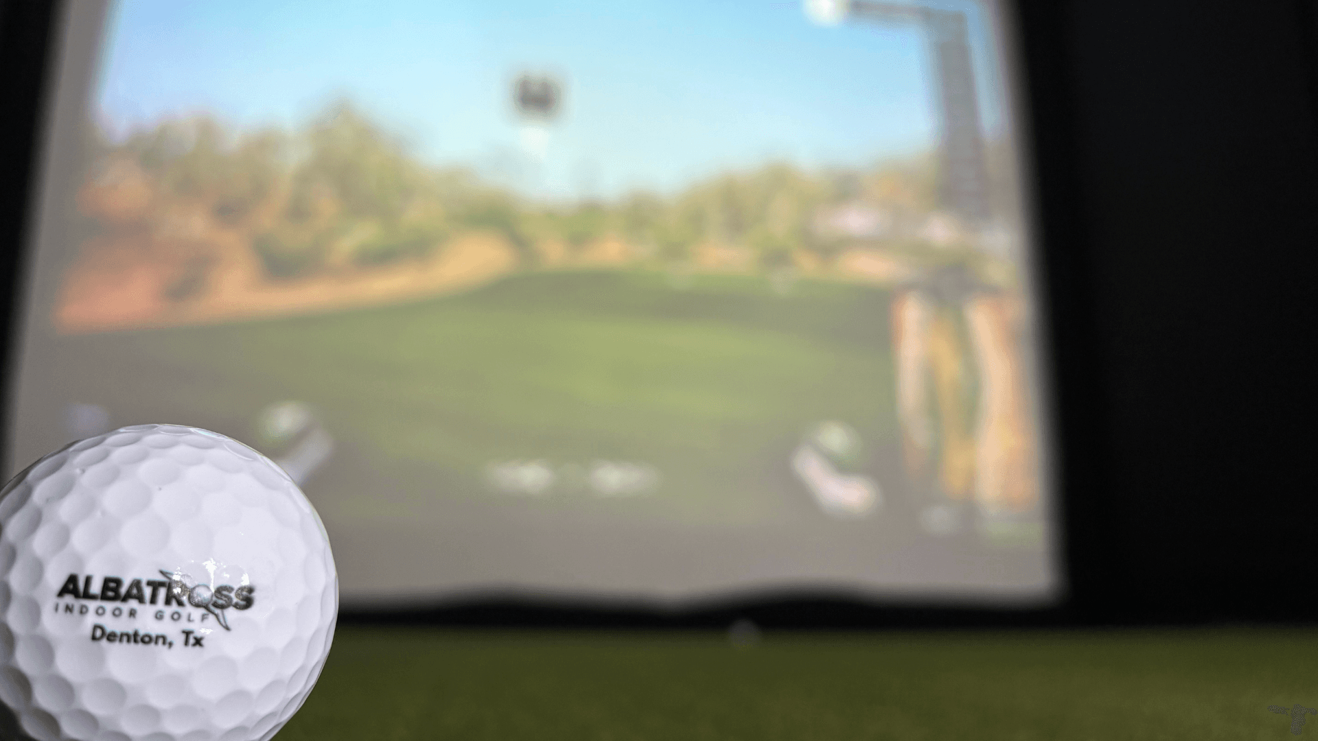 Albatross Indoor Golf - Image 5