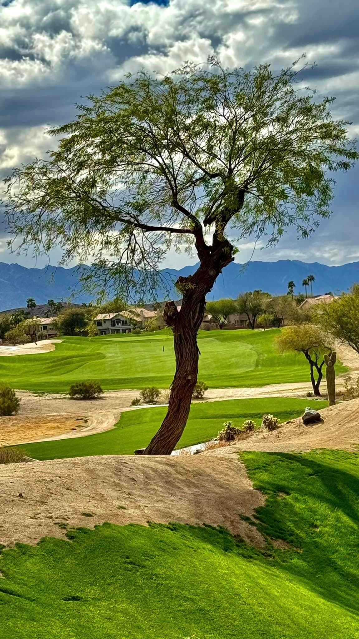 Foothills Golf Club - Image 9