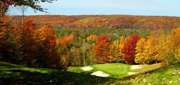 Gaylord Golf Mecca - Image 5