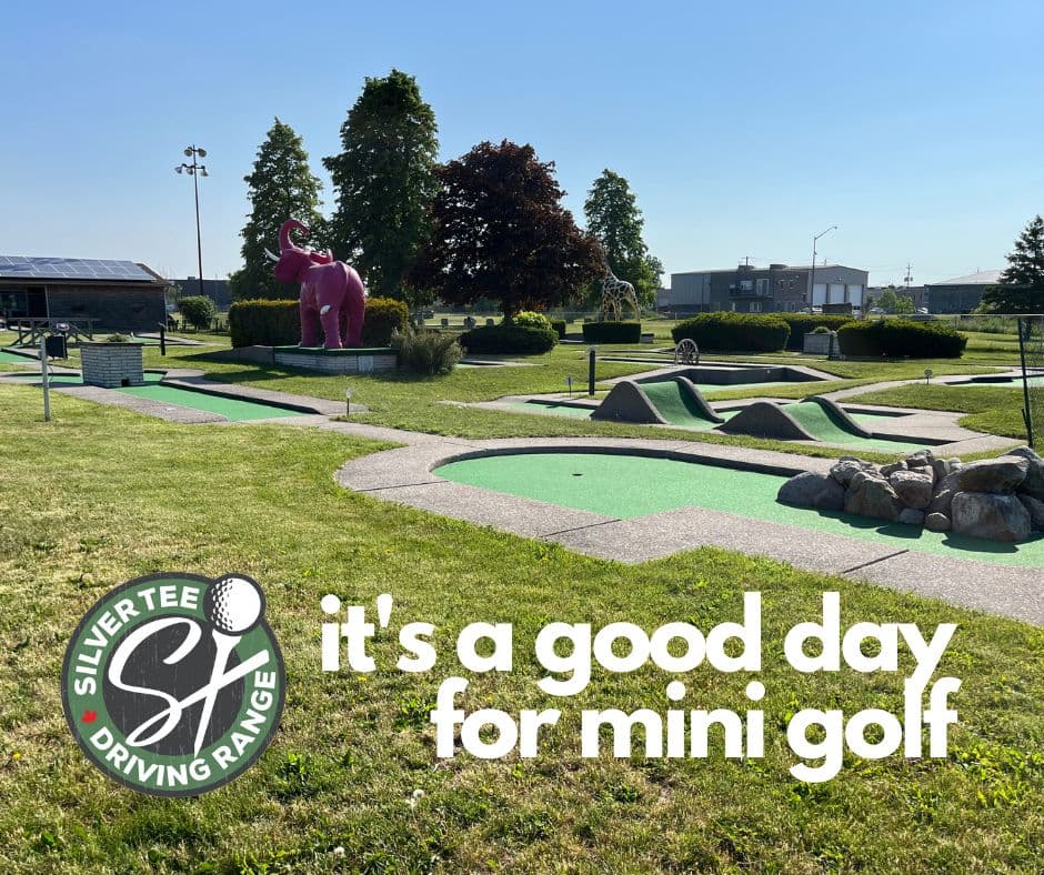Silver Tee Indoor Golf - Image 1