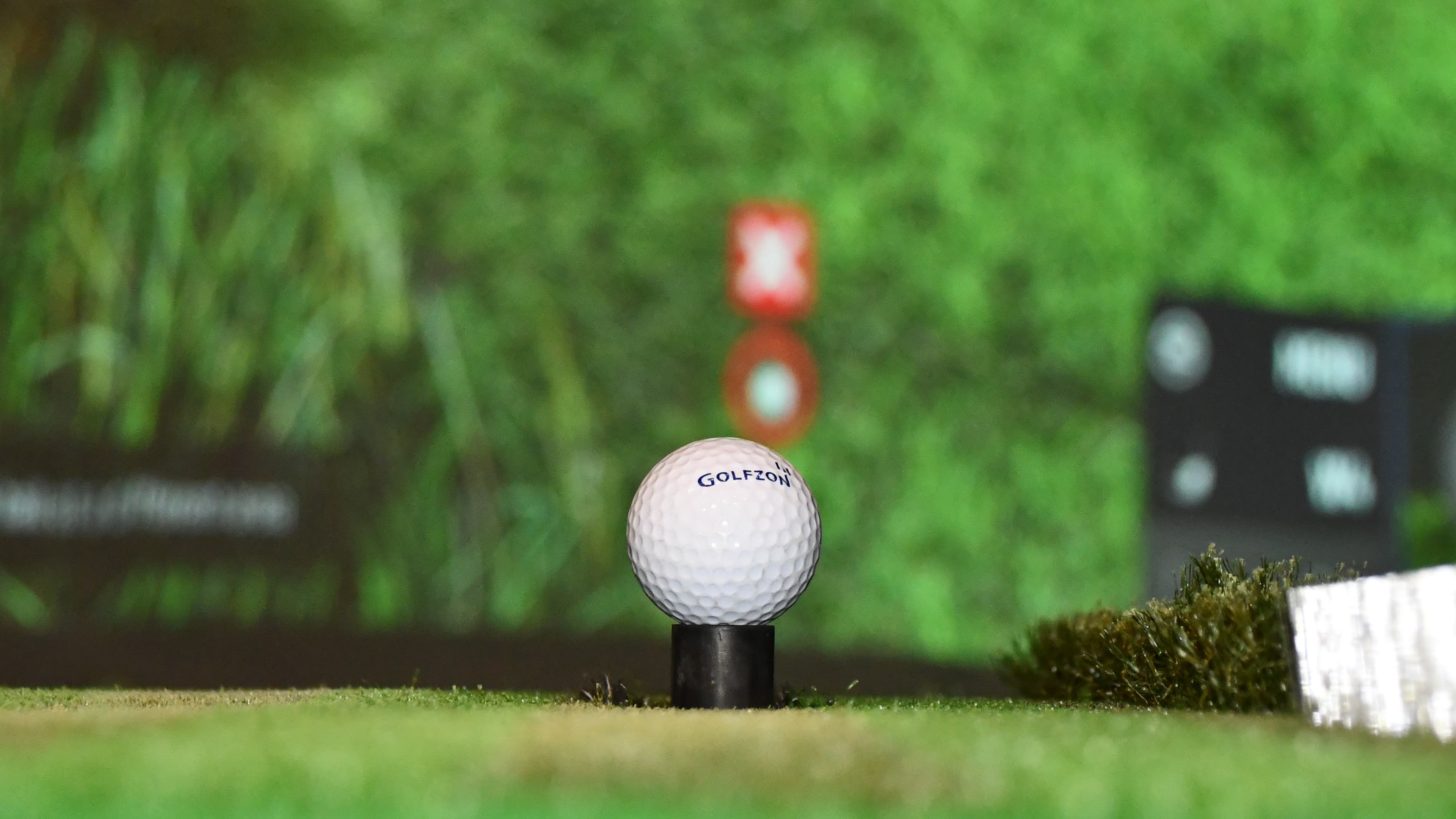 Par Golf TN - Image 2