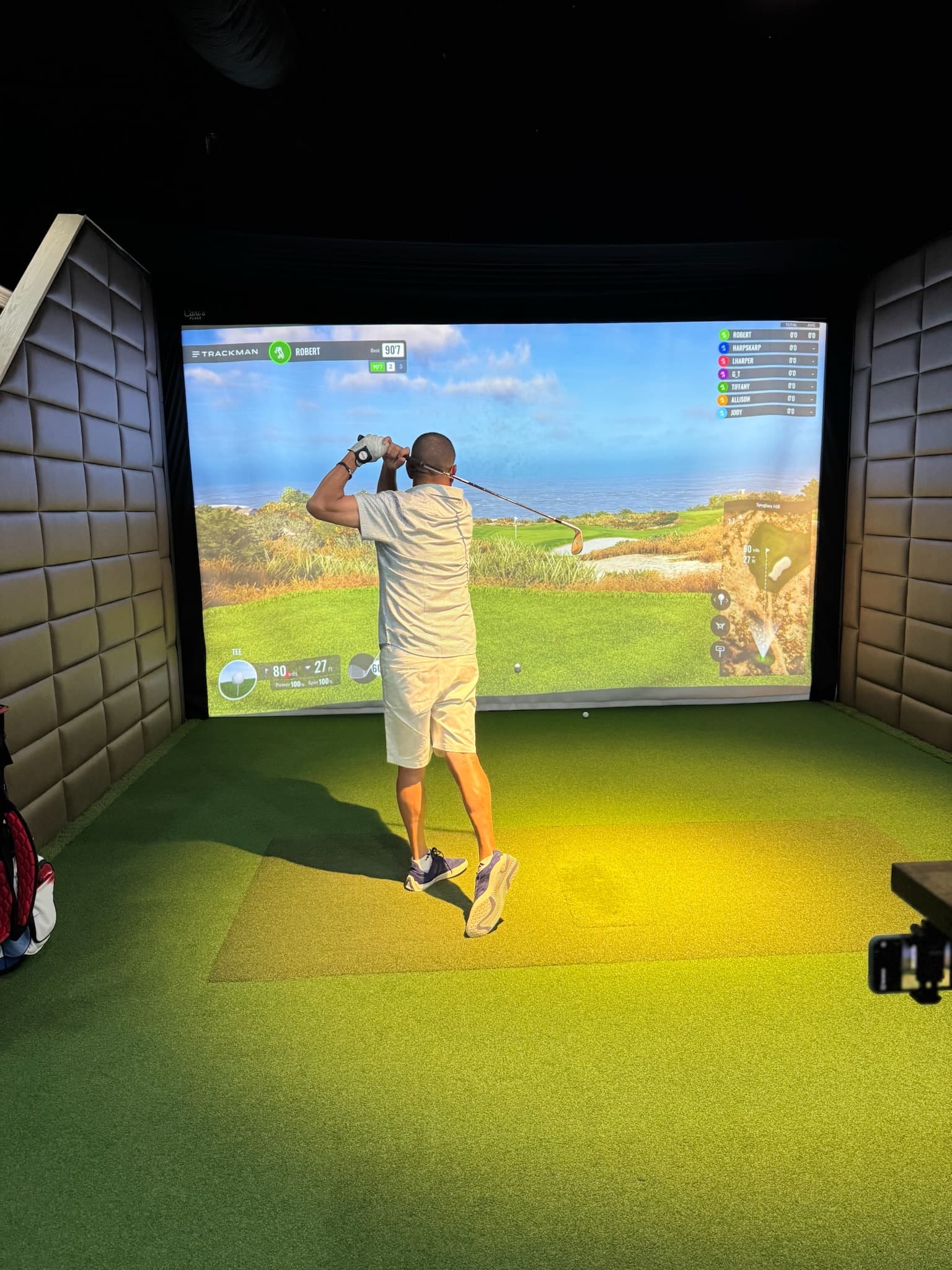 Indoor Birdies - Image 9