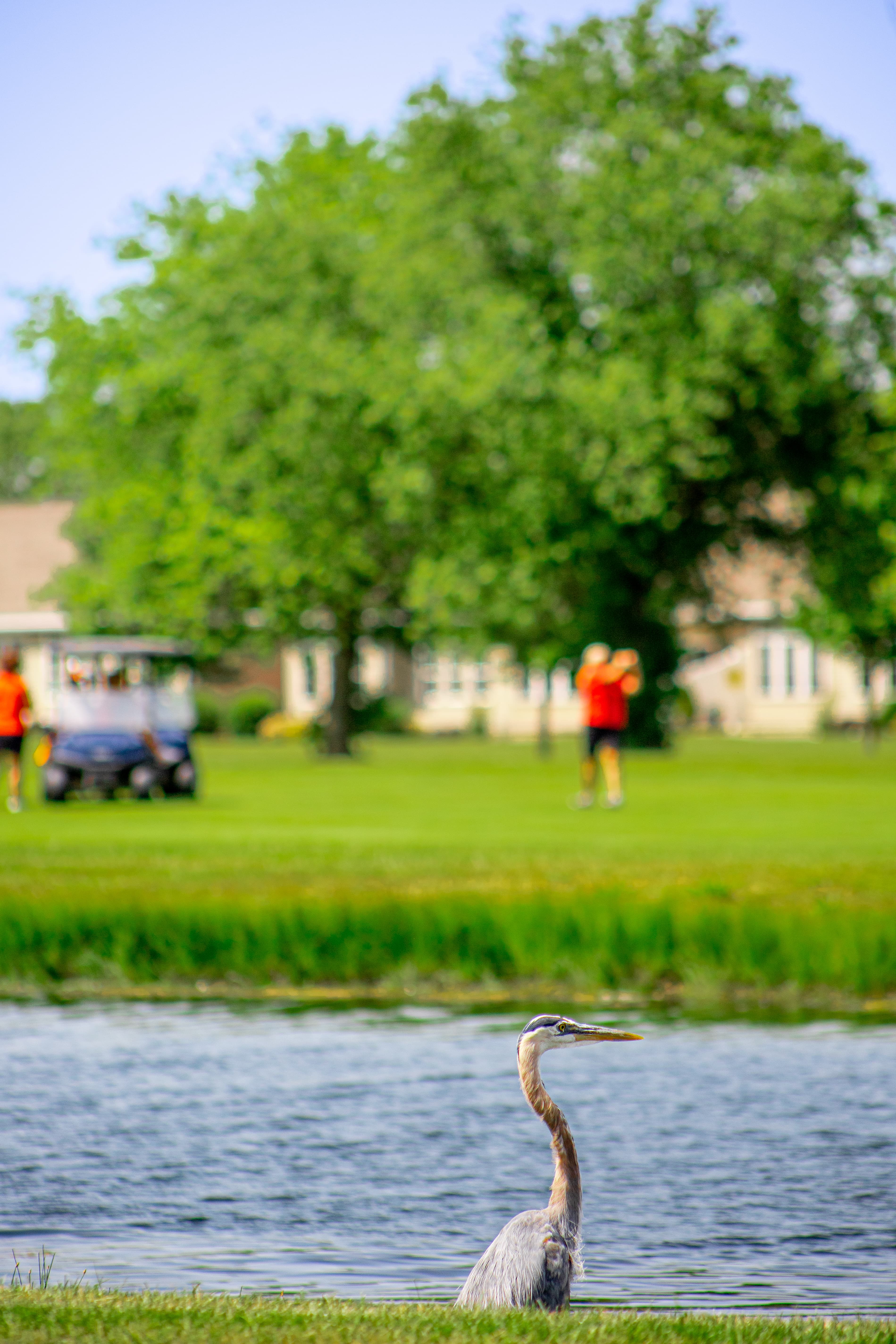 The Oaks At River's Edge - Image 6