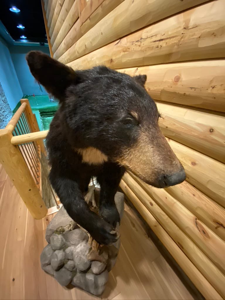 The Cabin A Private Virtual Golf Club - Image 9