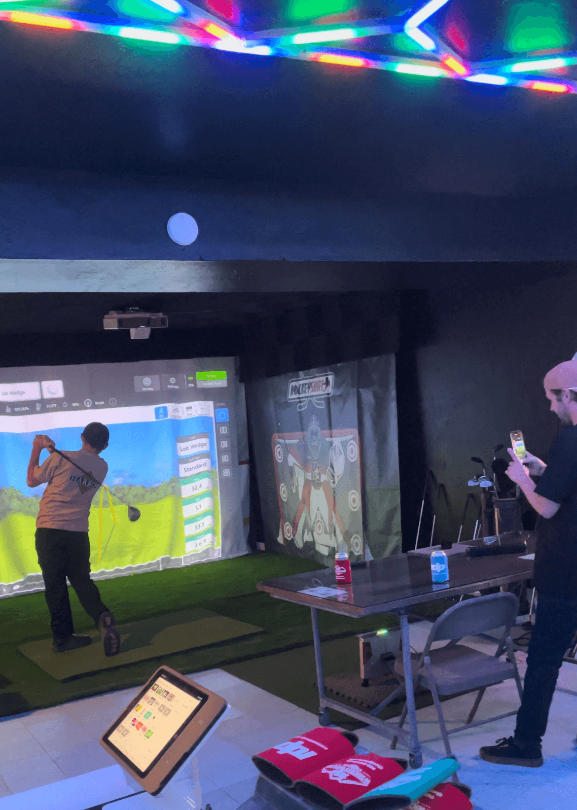 The Sport Sim - Image 1