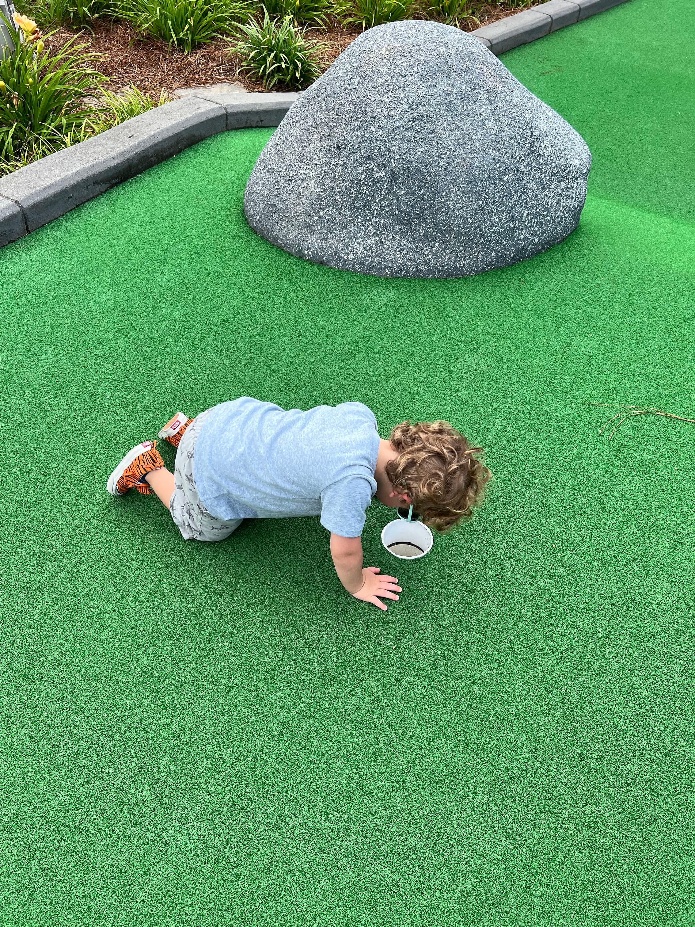 Birdies... Where Are You - Image 10