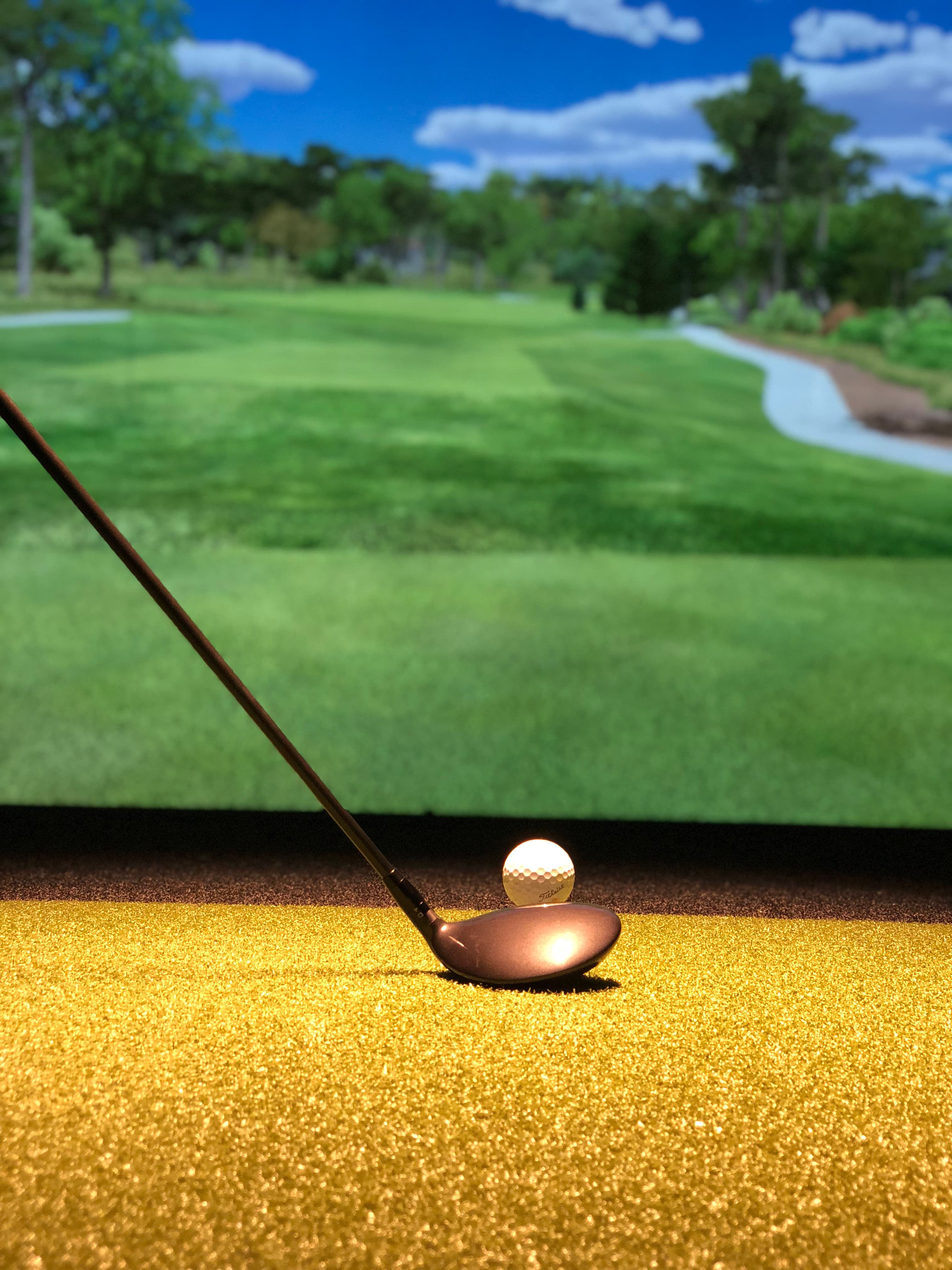 The Golf House - Image 4