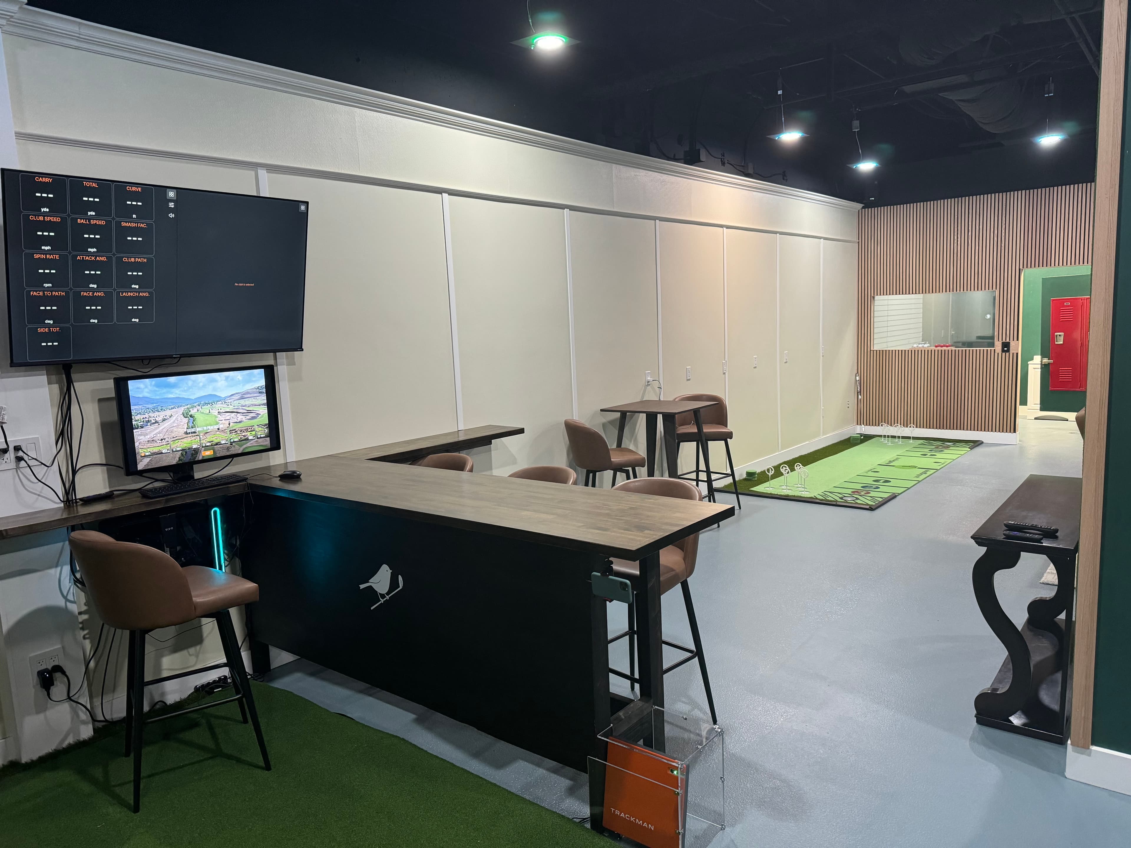 Indoor Birdies - Image 5